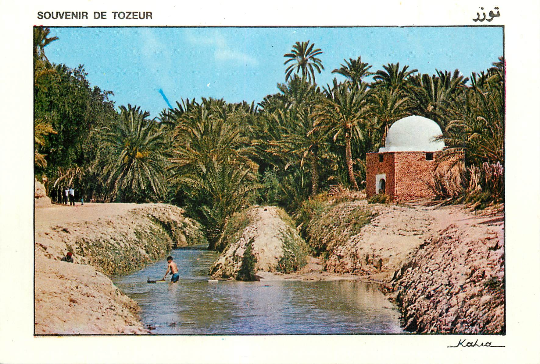 CPM Tozeur riviere et marabout dans l'oasis