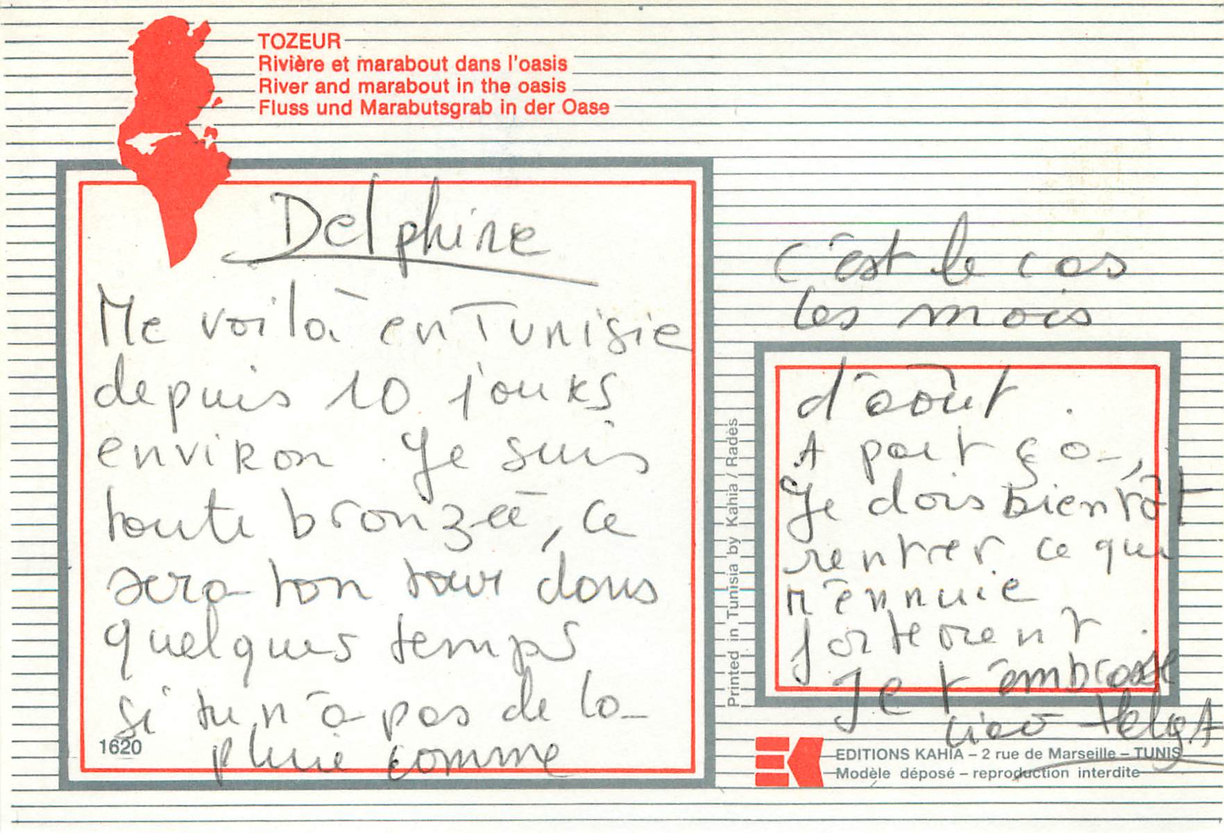 CPM Tozeur riviere et marabout dans l'oasis — Rückseite