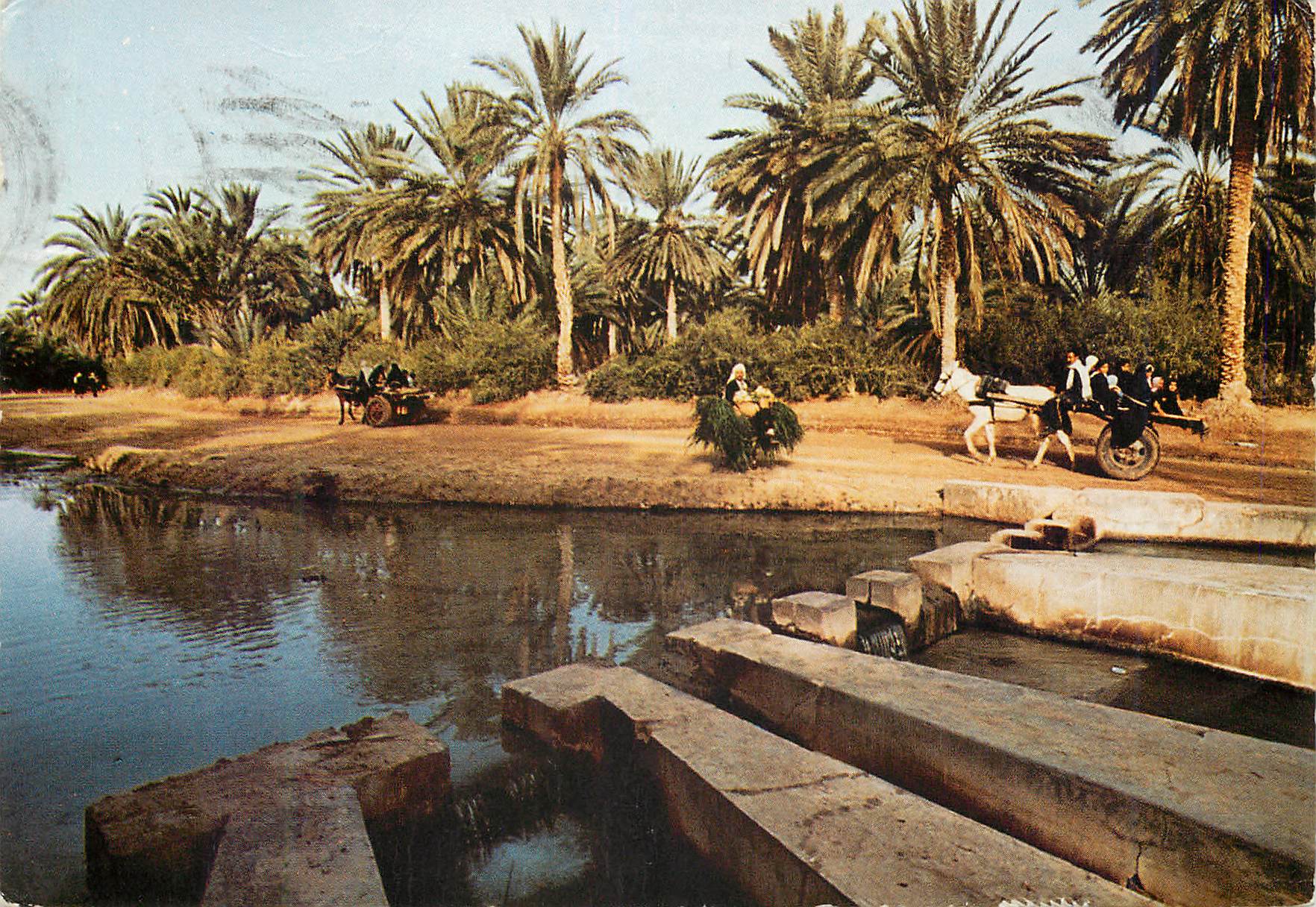 CPM Tozeur tunisie le partage des eaux (la berka)