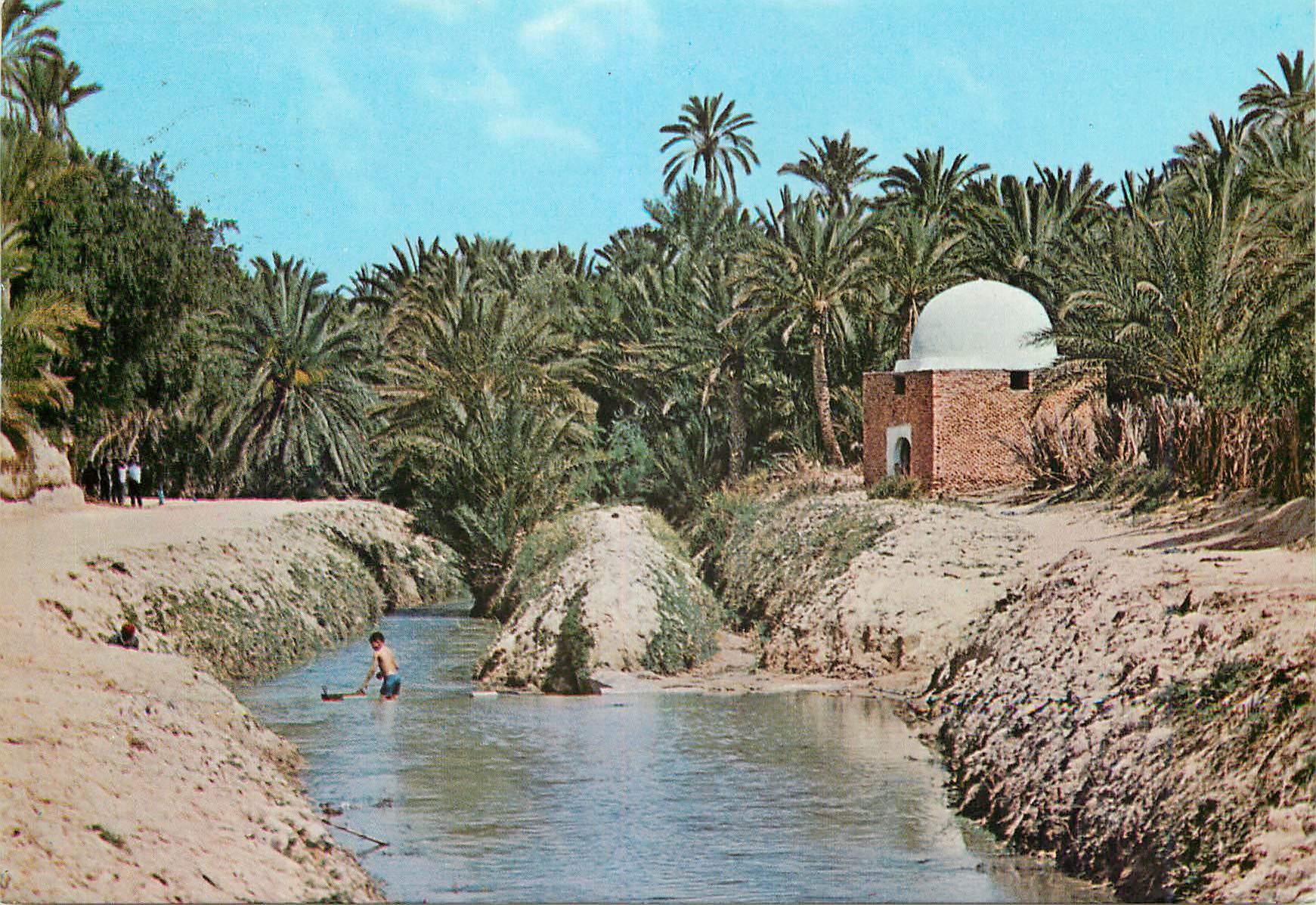 CPM Tozeur riviere et marabout dans l'oasis