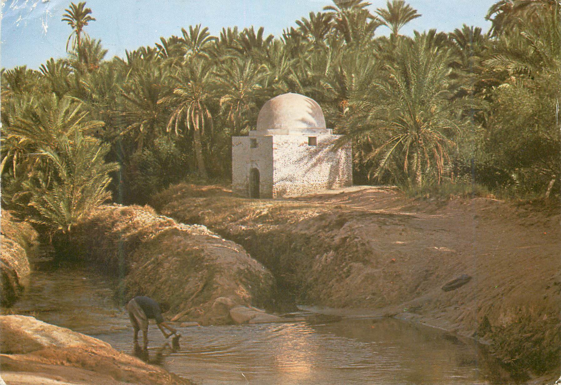CPM Tozeur (tunisie) marabout dans la paimeraie (sidi laguili)
