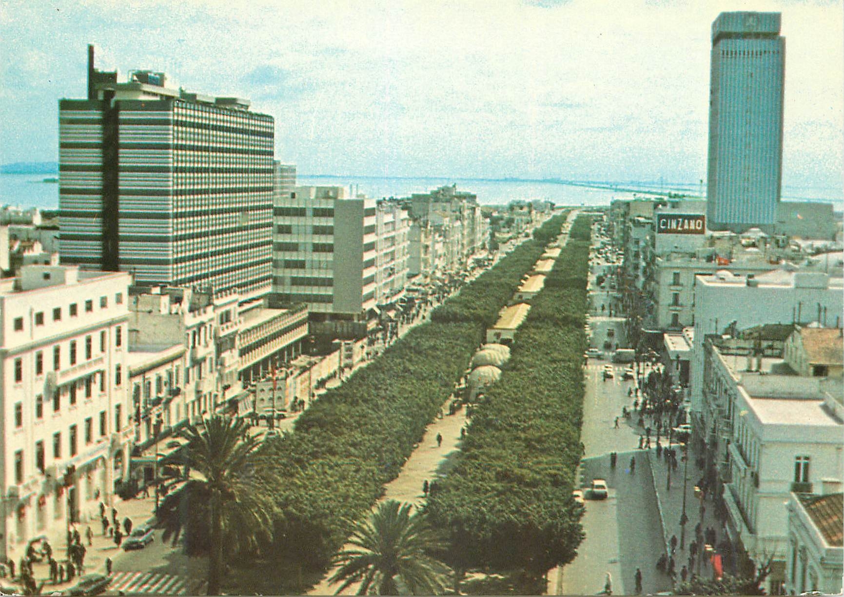 Tunis - Avenue Bourguiba — vue panoramique avec bâtiments et avenue arborée — Société CartHage, Tunis