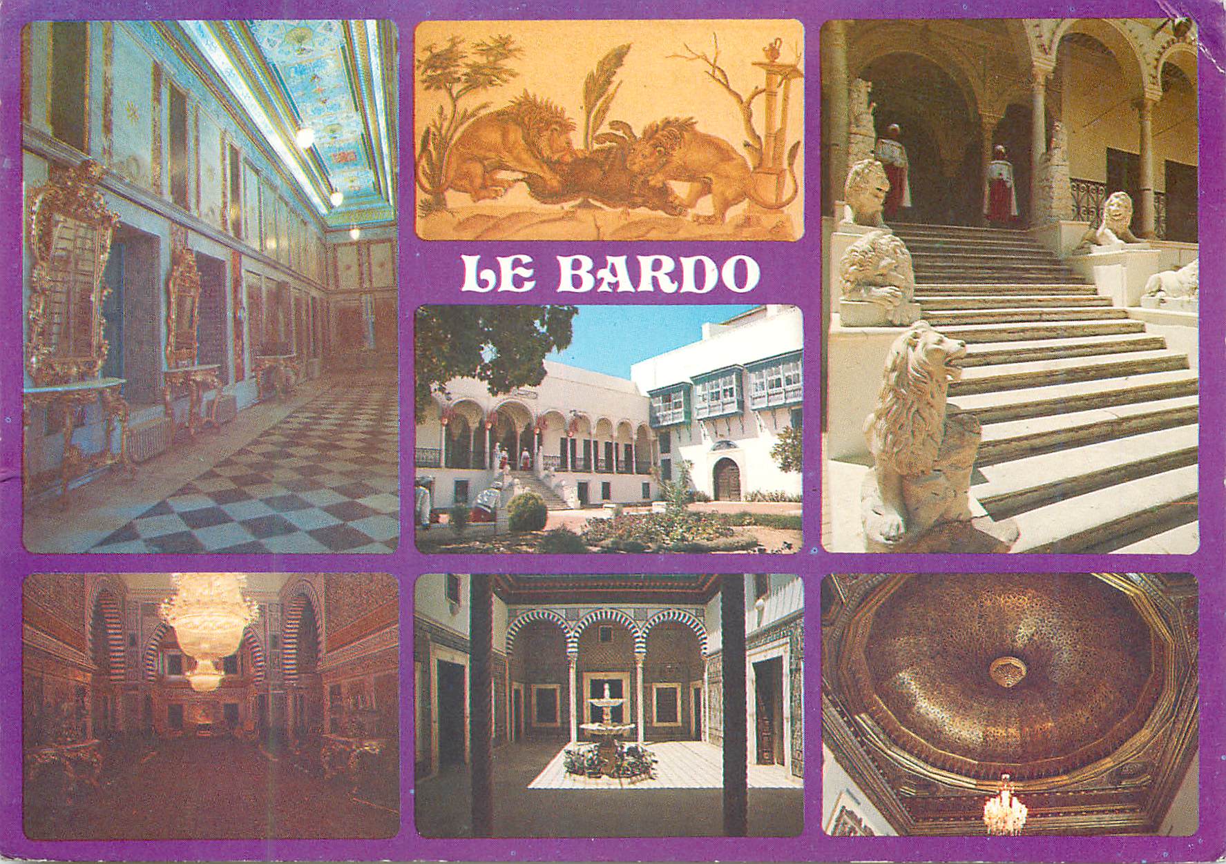 CPM Tunisie Ducks canards musee national du bardo