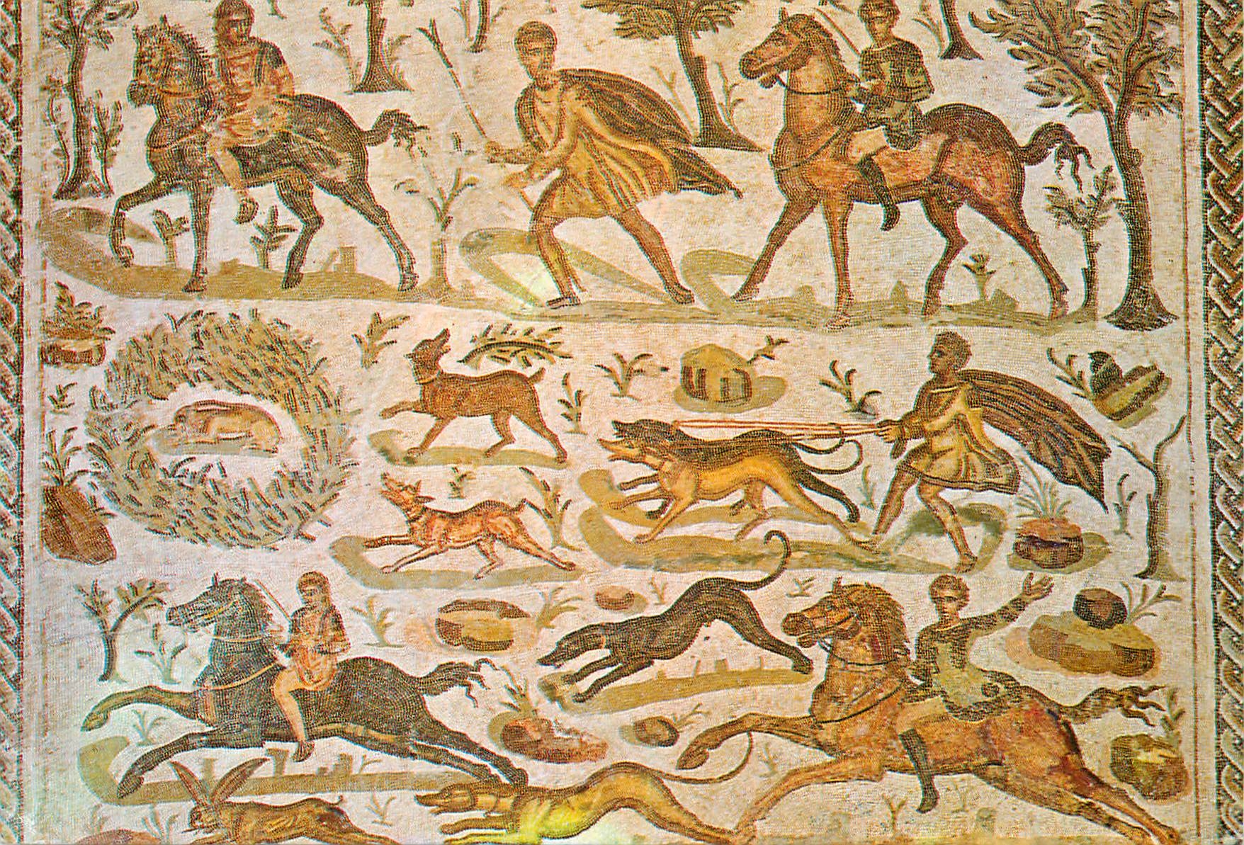 CPM Tunisie mosaique du musee du bardo chasse a courre