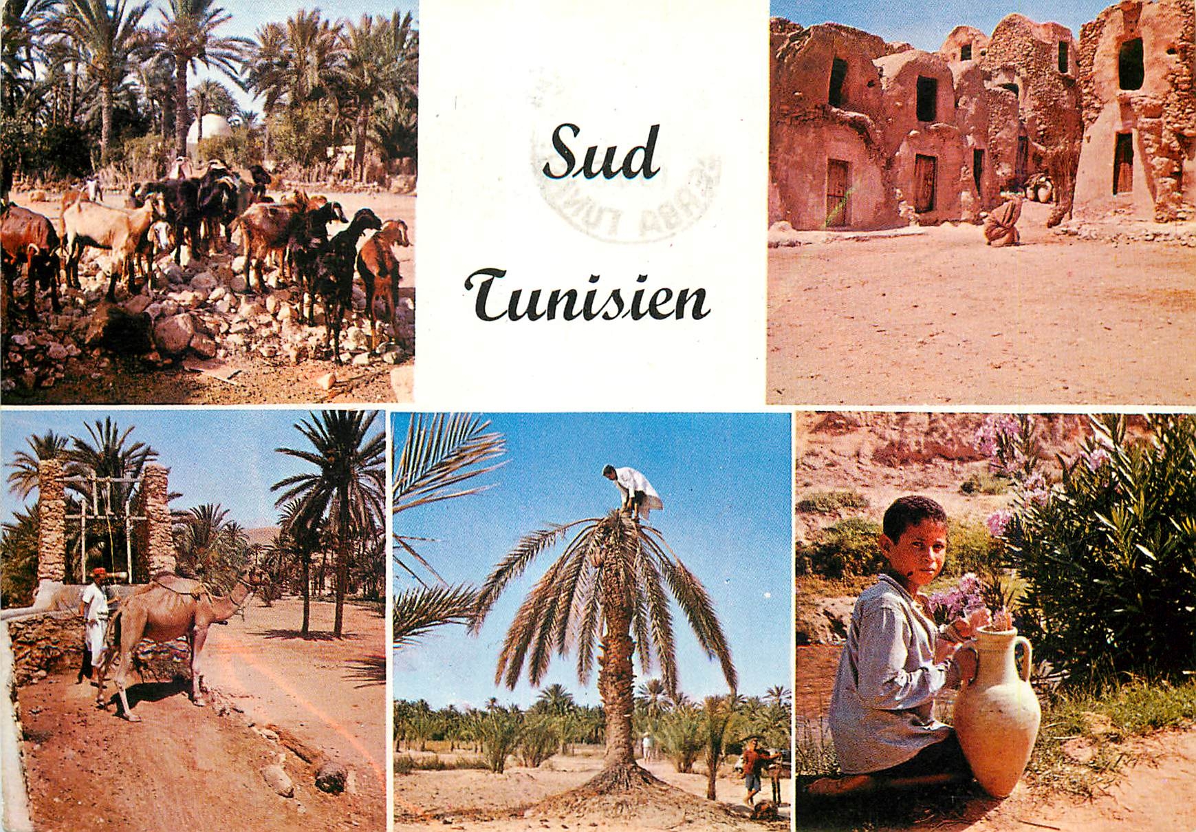 CPM Vue pittoresque du sud tunisien
