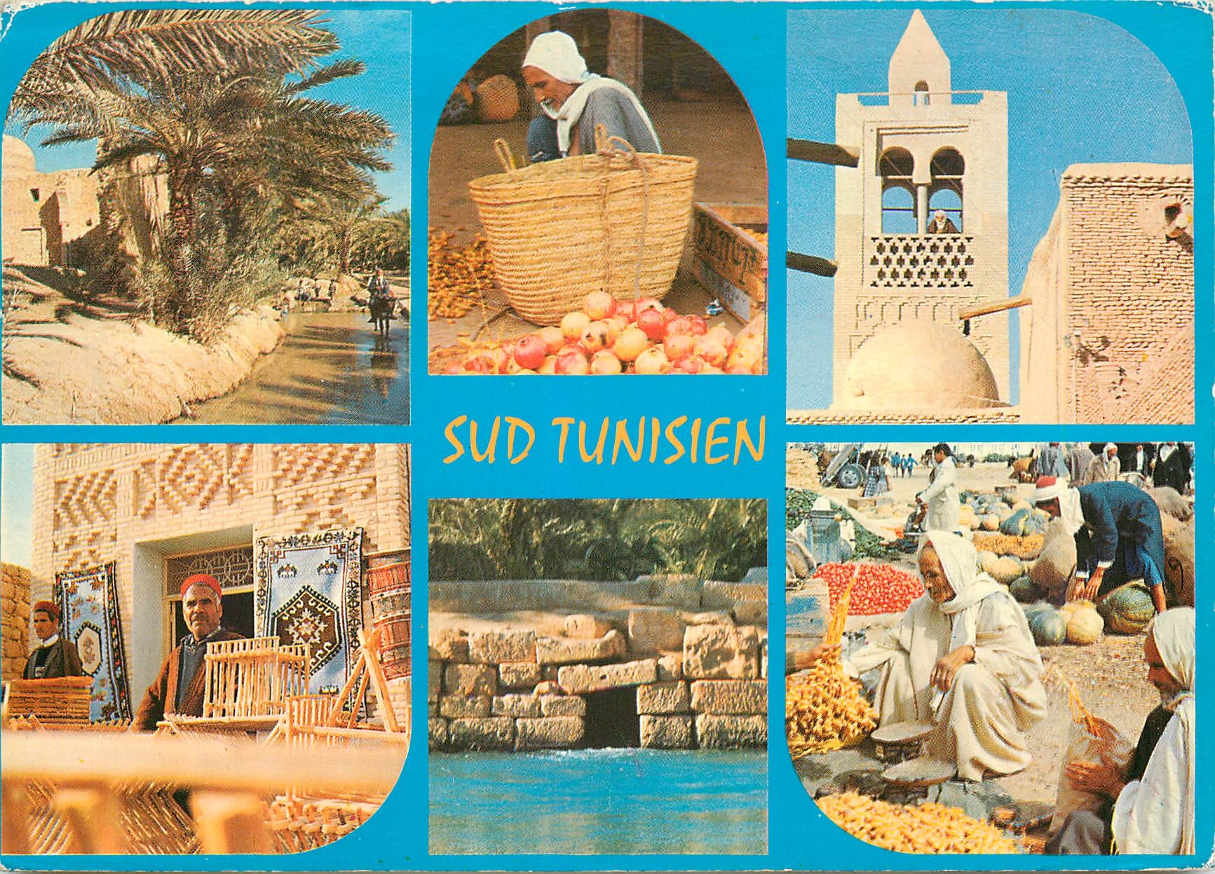 CPM Sud tunisien paysages et portraits