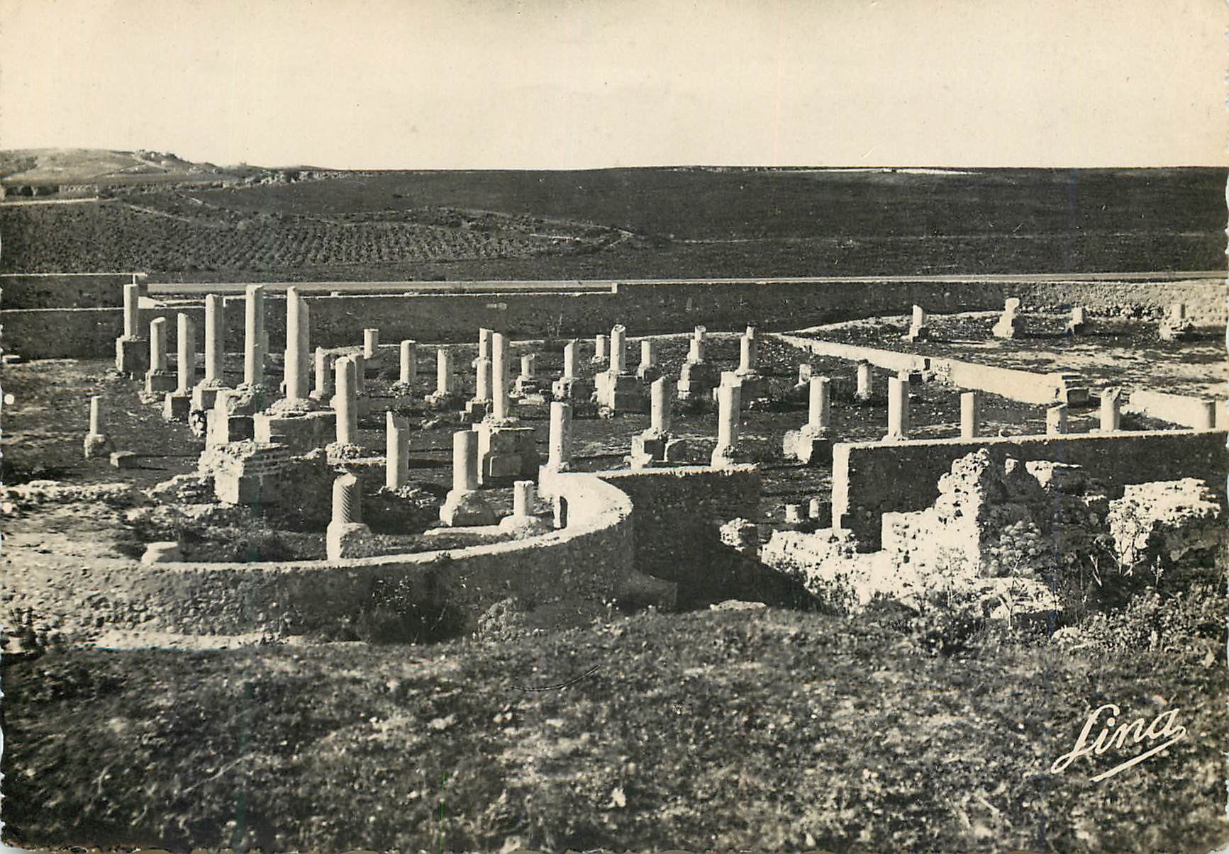 CPM Carthage basilique saint cyprien
