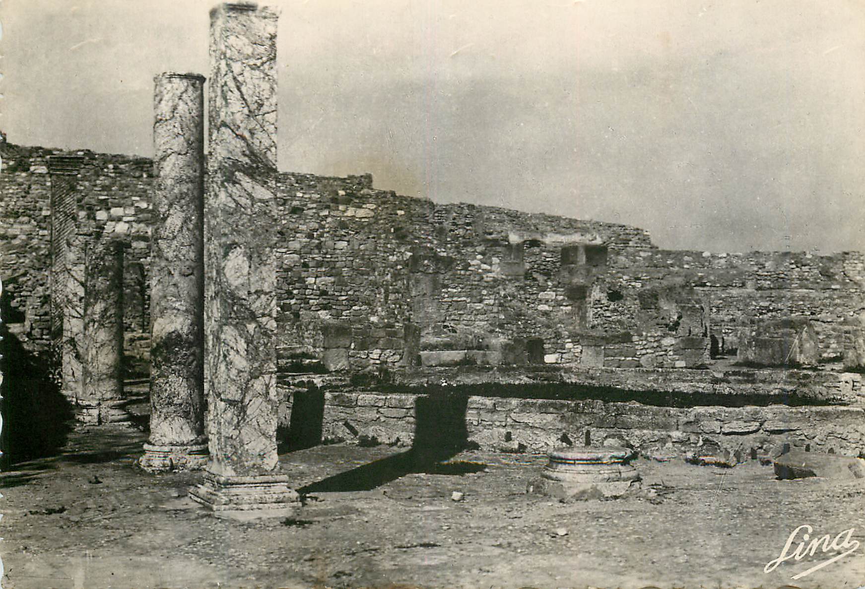 CPM Carthage romaine