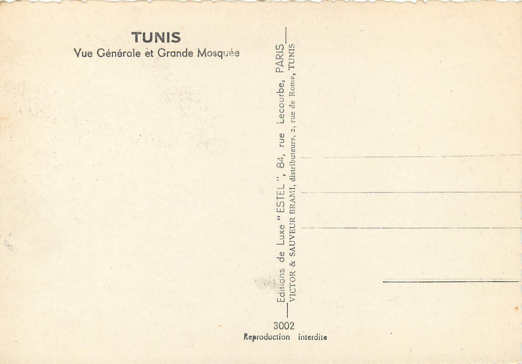 CPM Tunis vue generale et grande mosquee — Verso