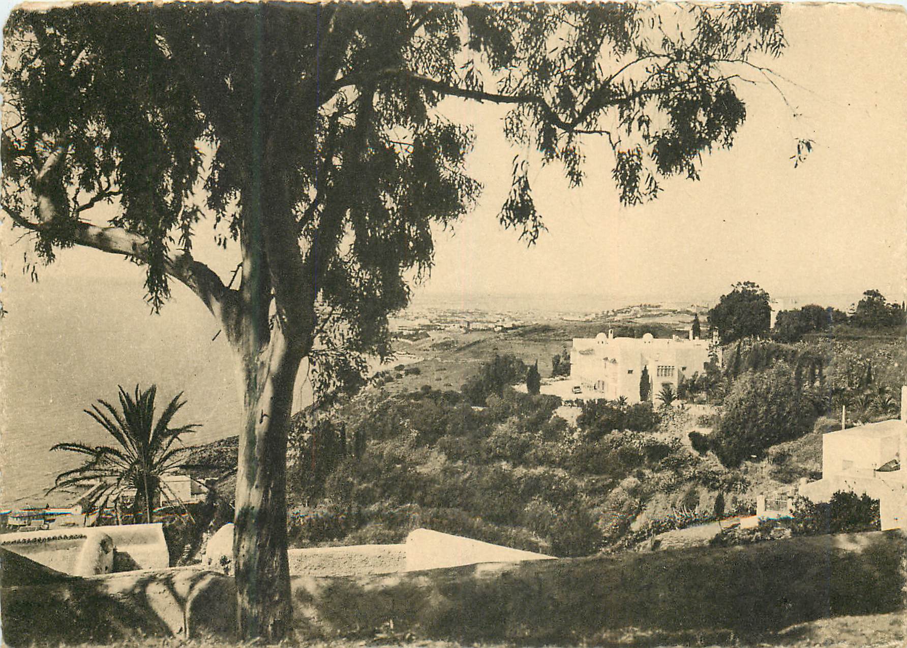 CPM Sidi bou said vue generale