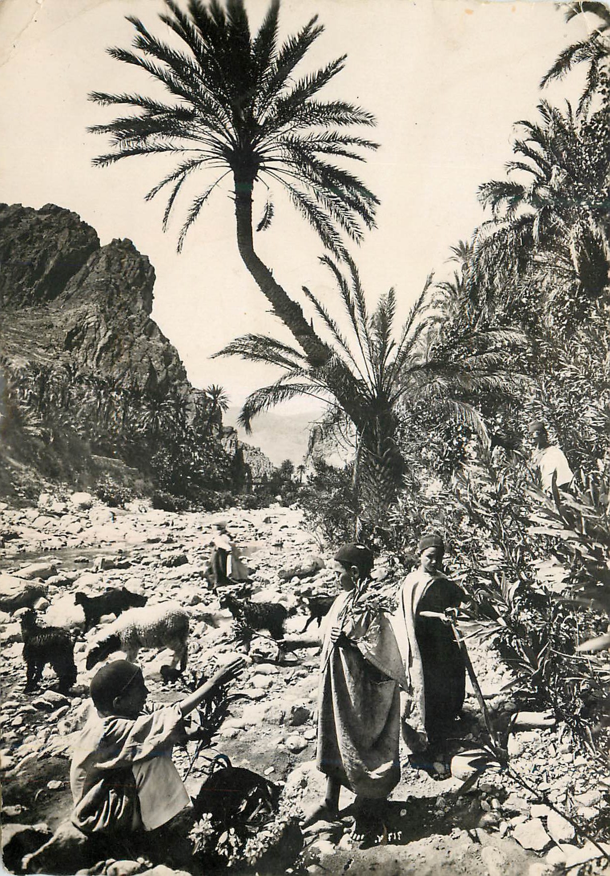 CPM Tunis le belvedere la kouba