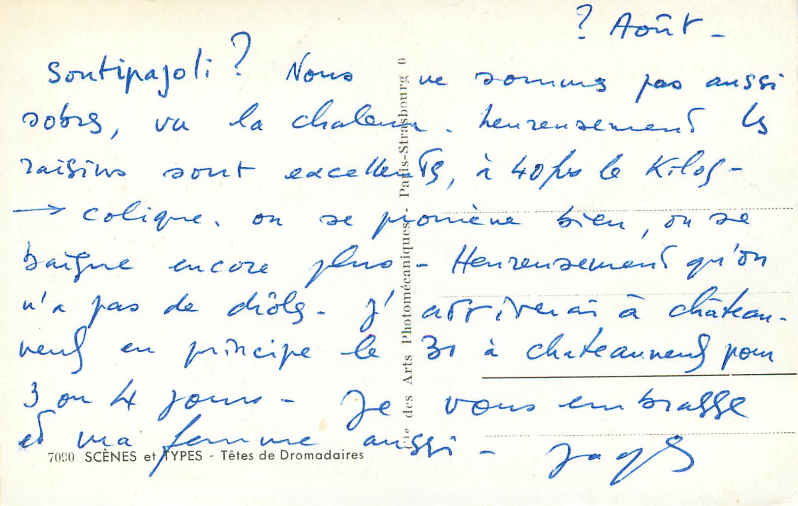 CPM Scenes et types tetes de dromadaires — Verso