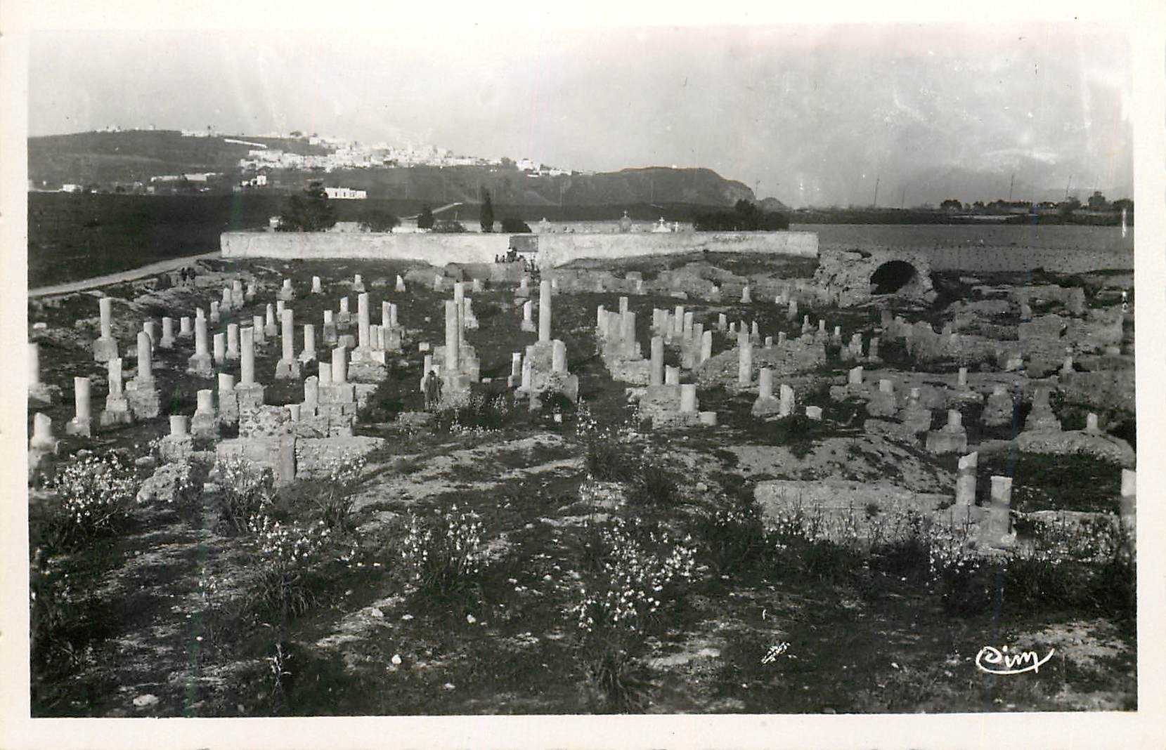 CPM Ruines de carthage(tunisie) basilique de damous karitas