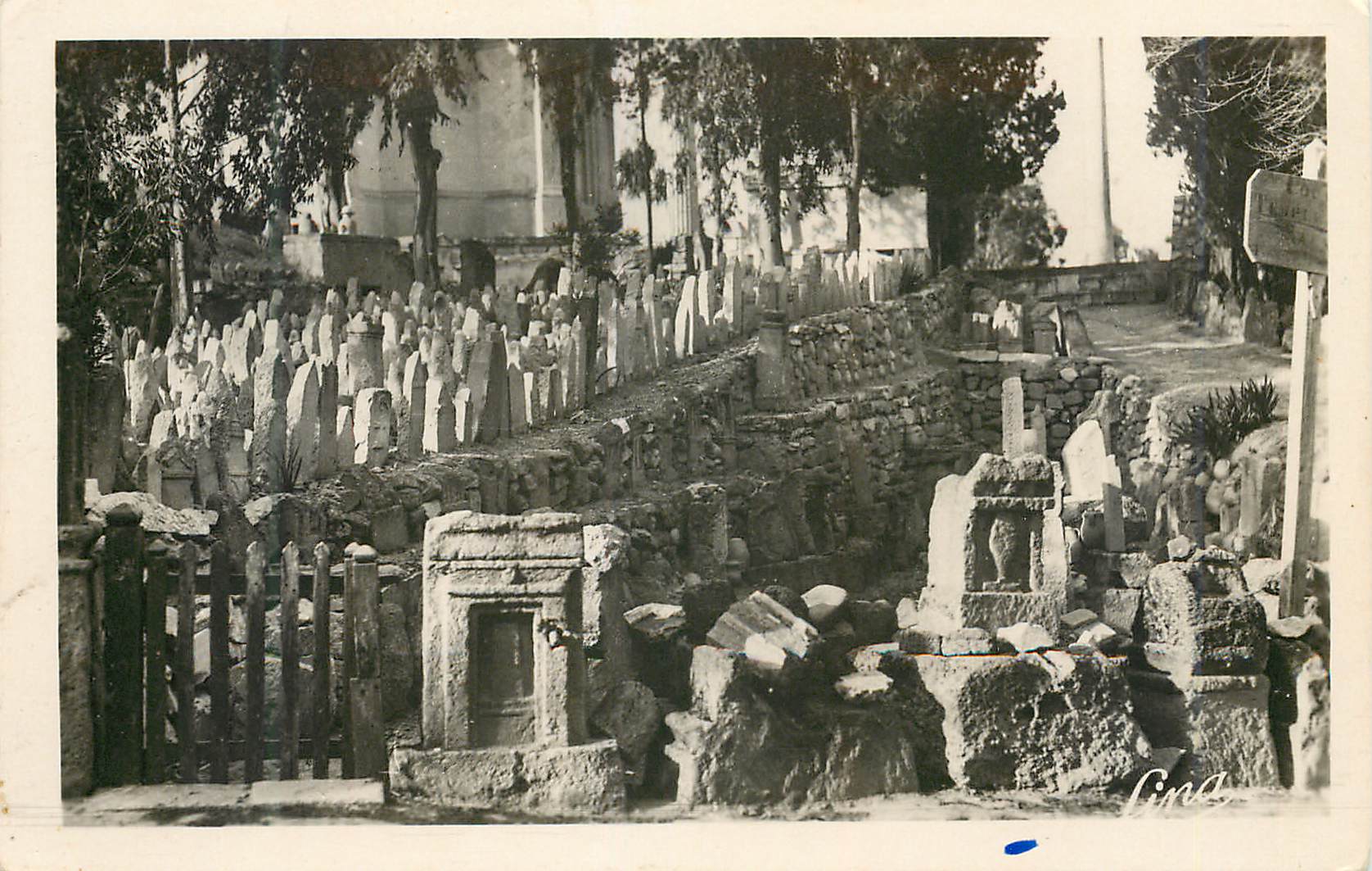 CPM Carthage (tunisie) jardin du musee lavigerie stelles puniques