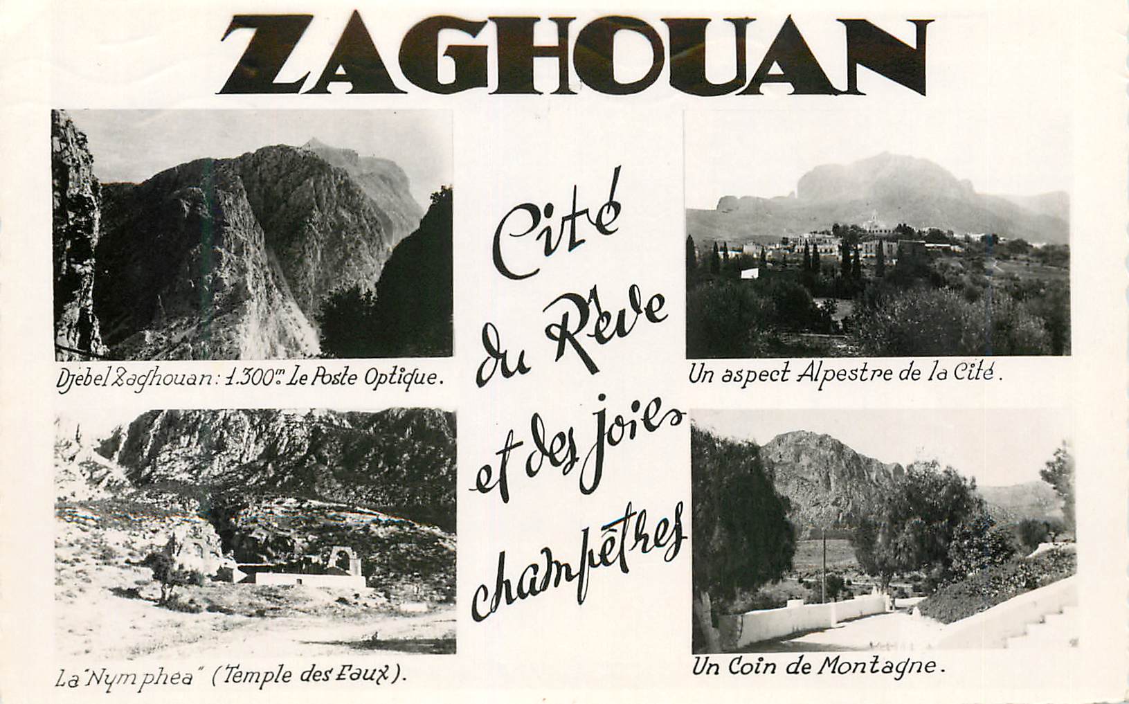 CPM Zaghouan cite du reve et des joies champetres