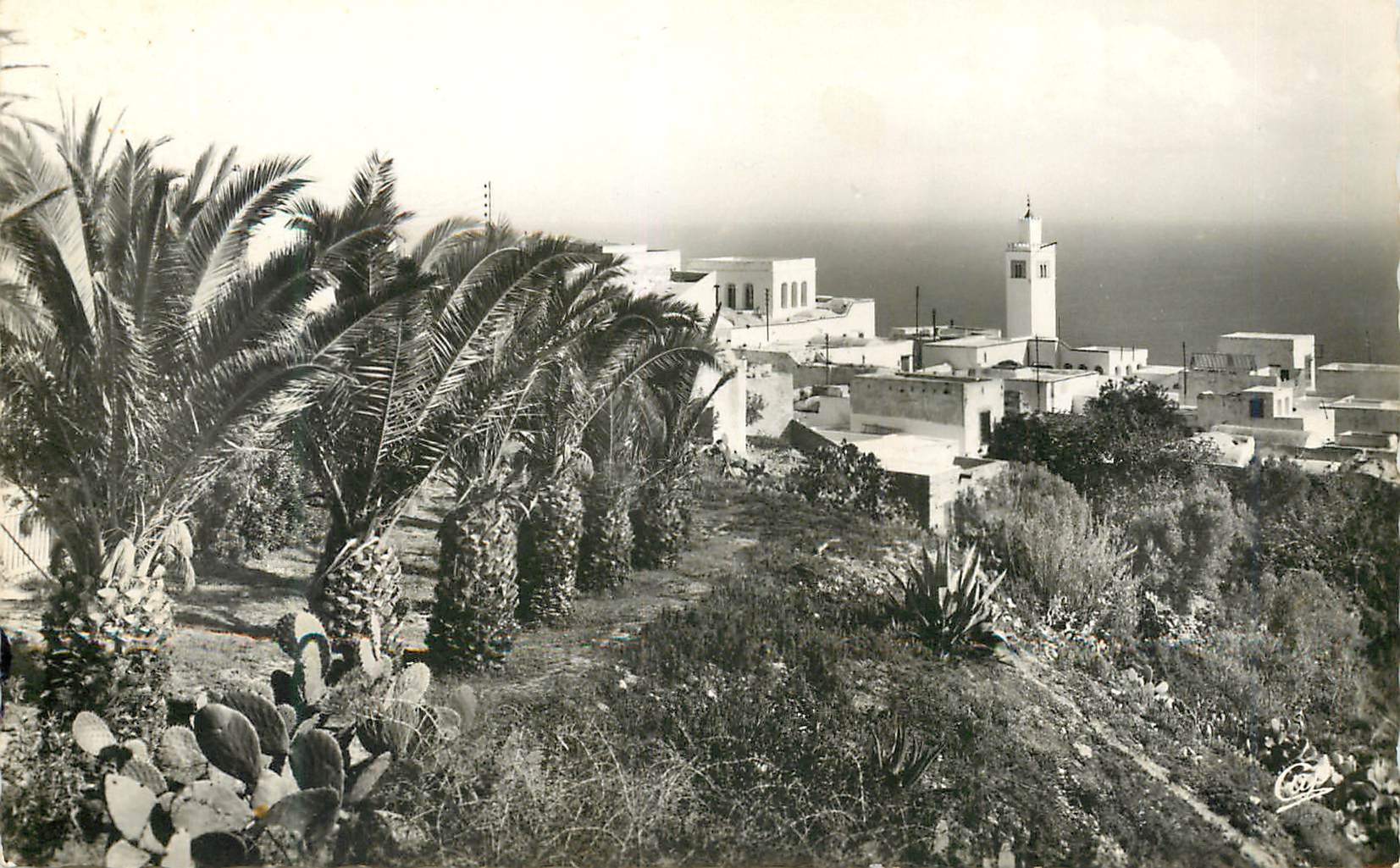 Nabeul — Vue générale — Éditions Glatigny, n° 583 - Recto