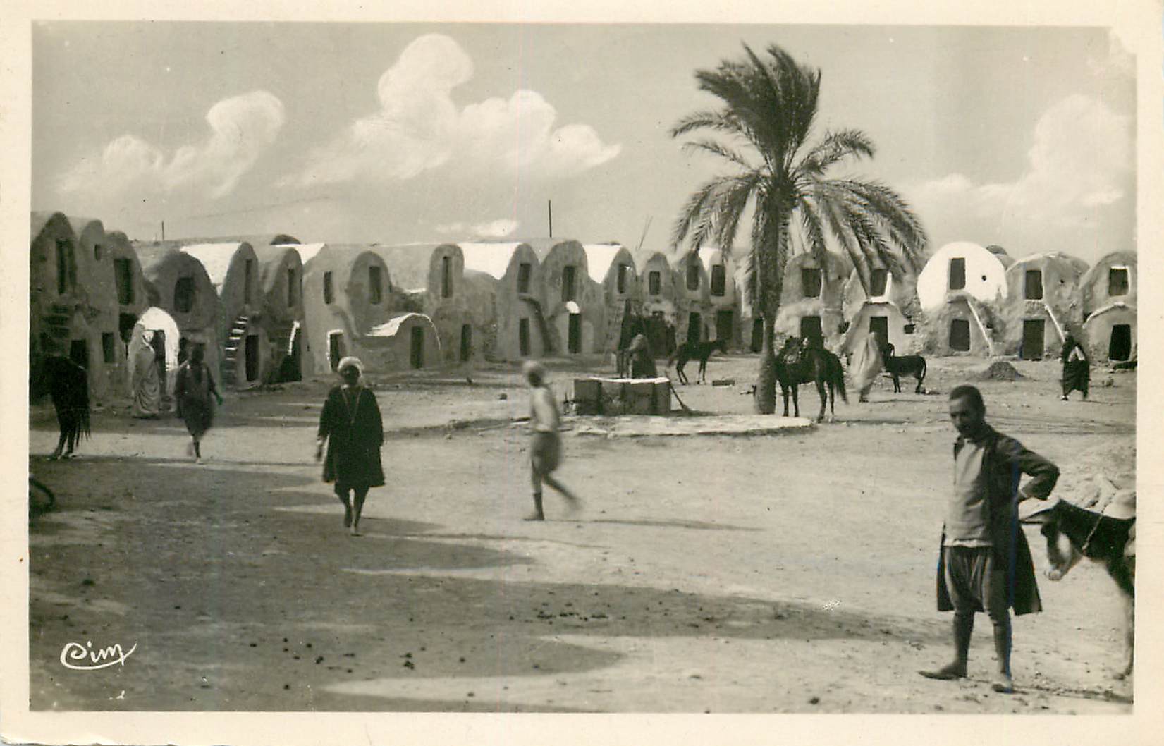 CPM Mededine (tunisie) place du cafard