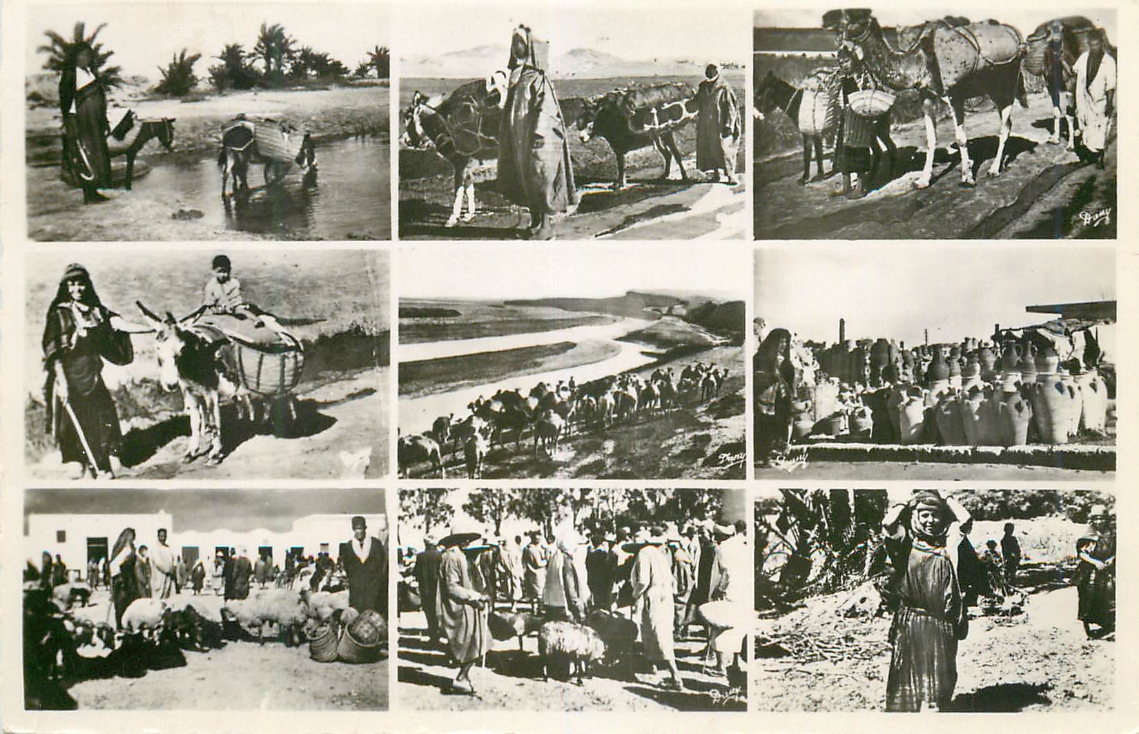CPM Tunisie