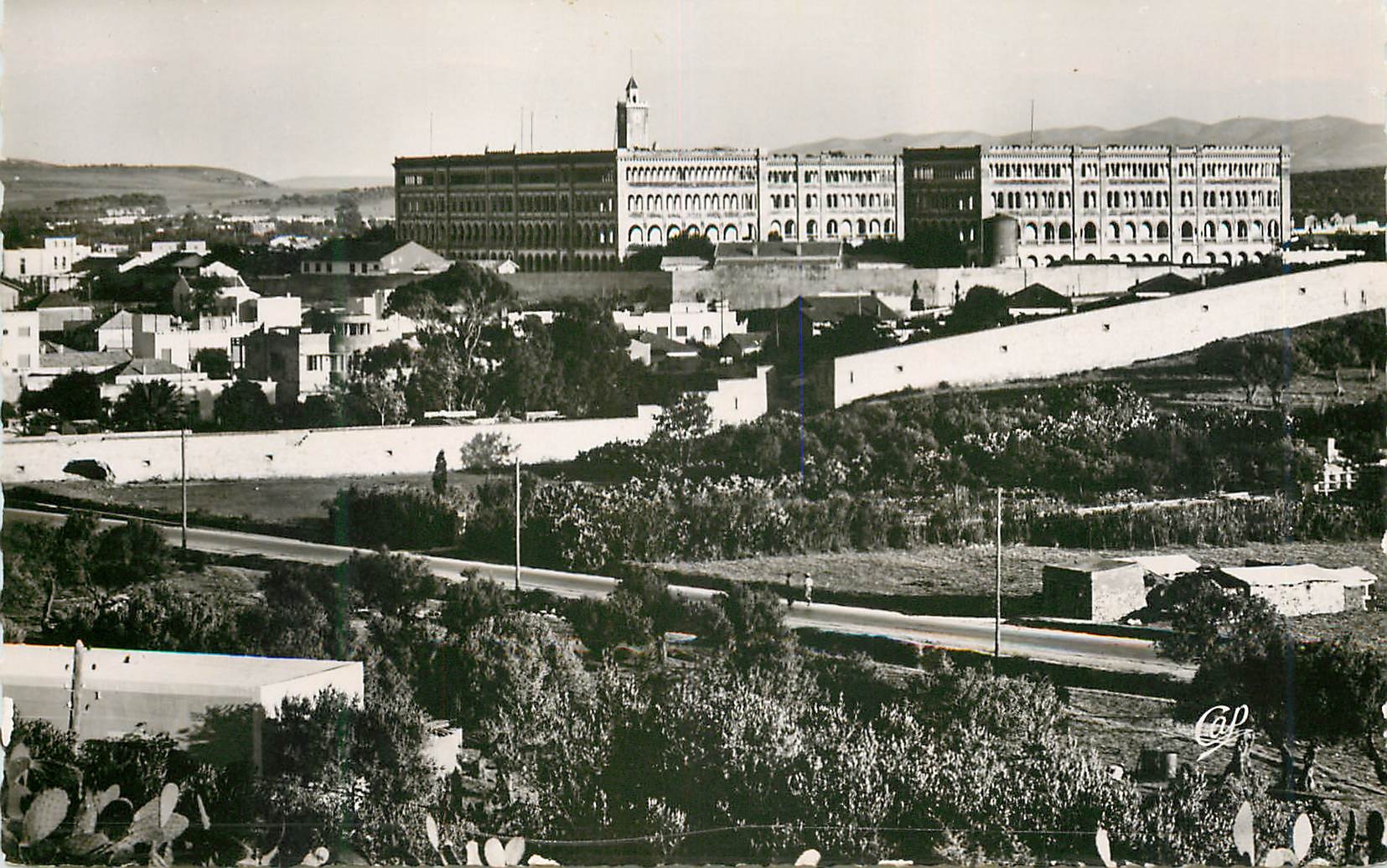 CPM Bizerte vue generale sur le quartier japy
