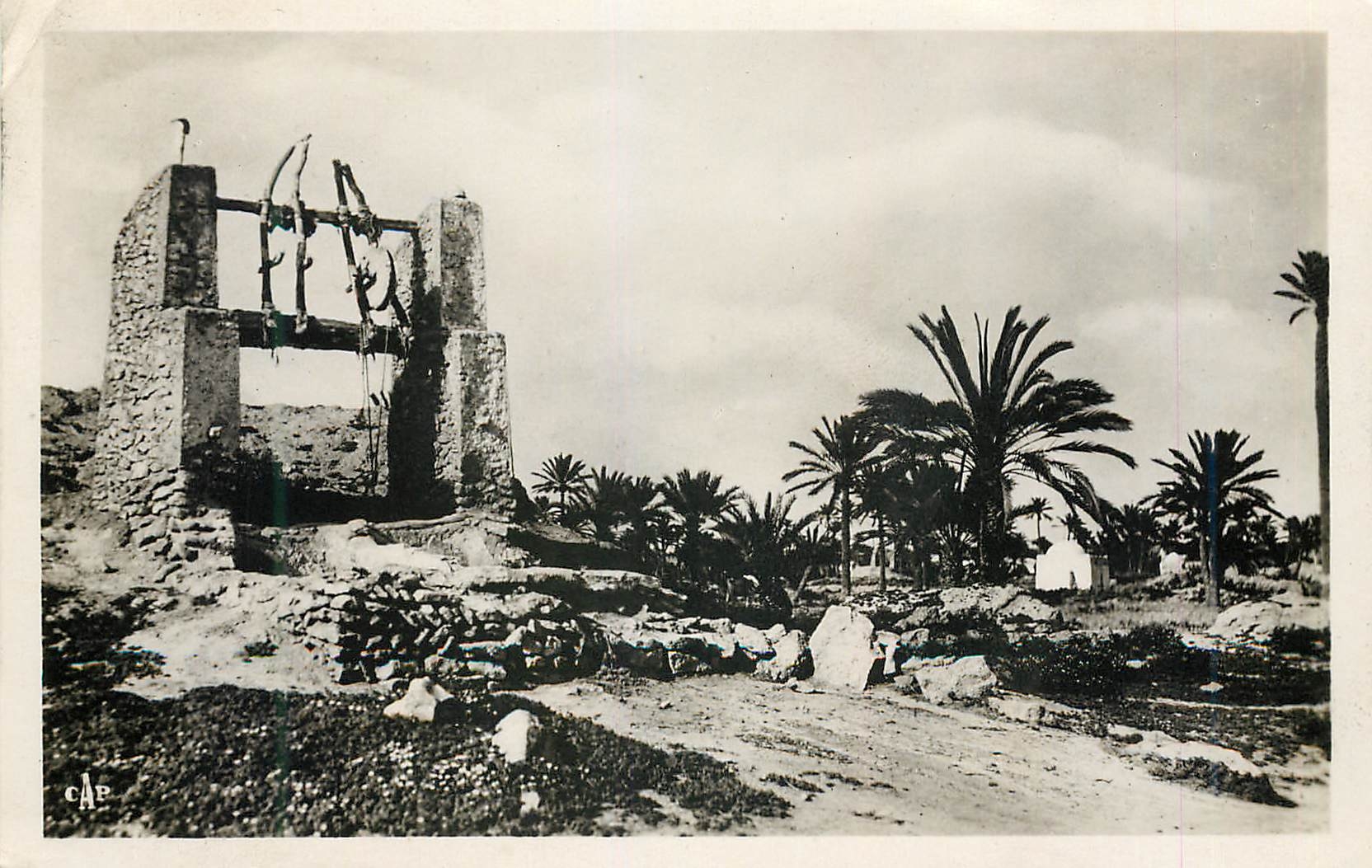 CPM Ile de djerba puits arabe