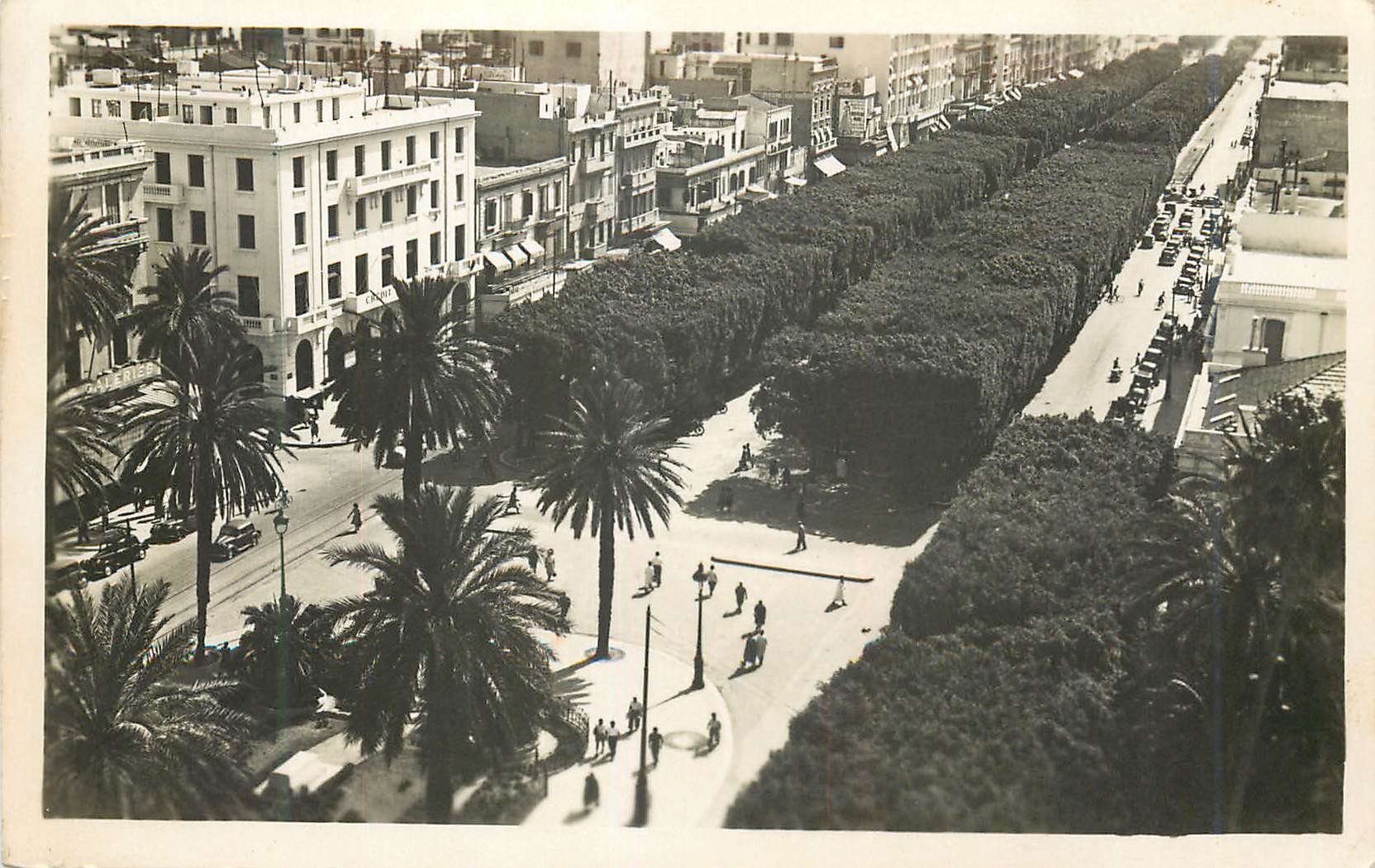 CPM Tunis place de la residence et avenue jules ferry