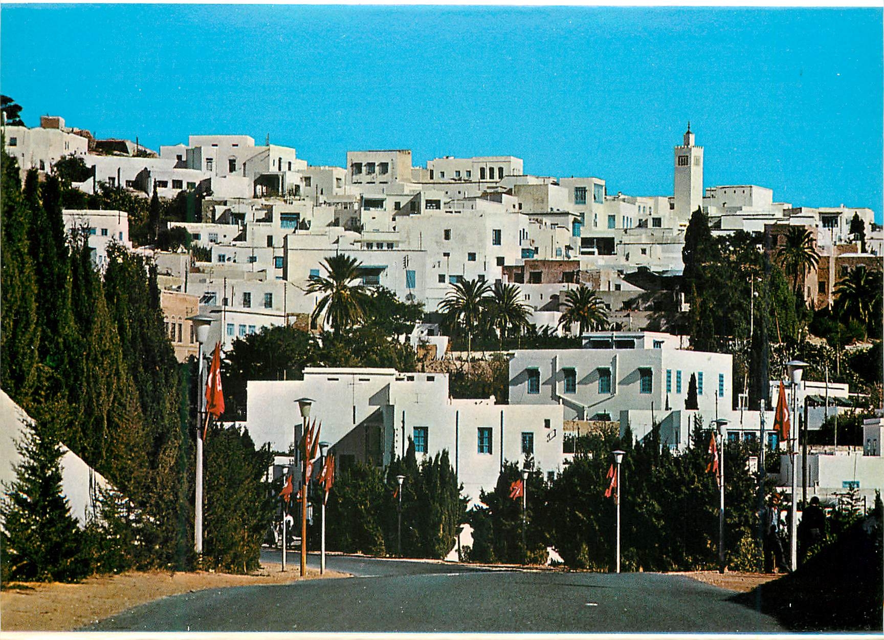 CPM Sidi bou said vue panoramique