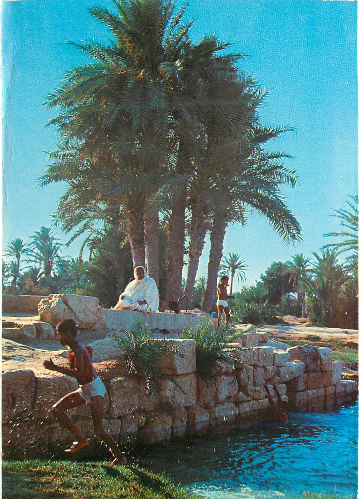 CPM Le barrage romain de l'oasis de gabes