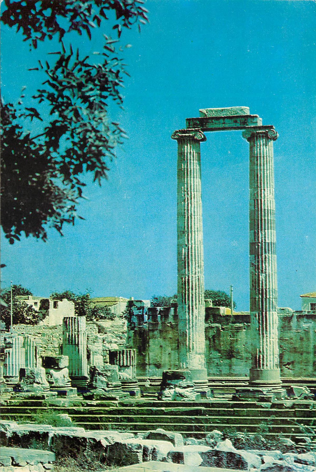 CPM Didyma apollo temple