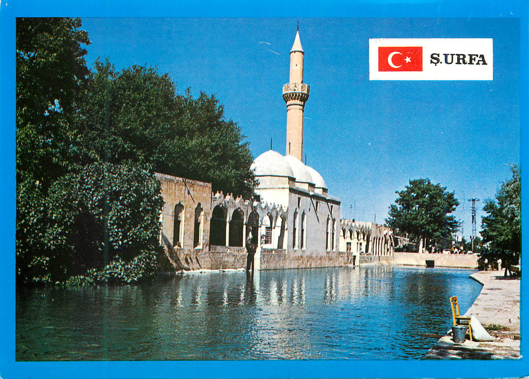 CPM Surfa Turkey aydin halilulrahman camili