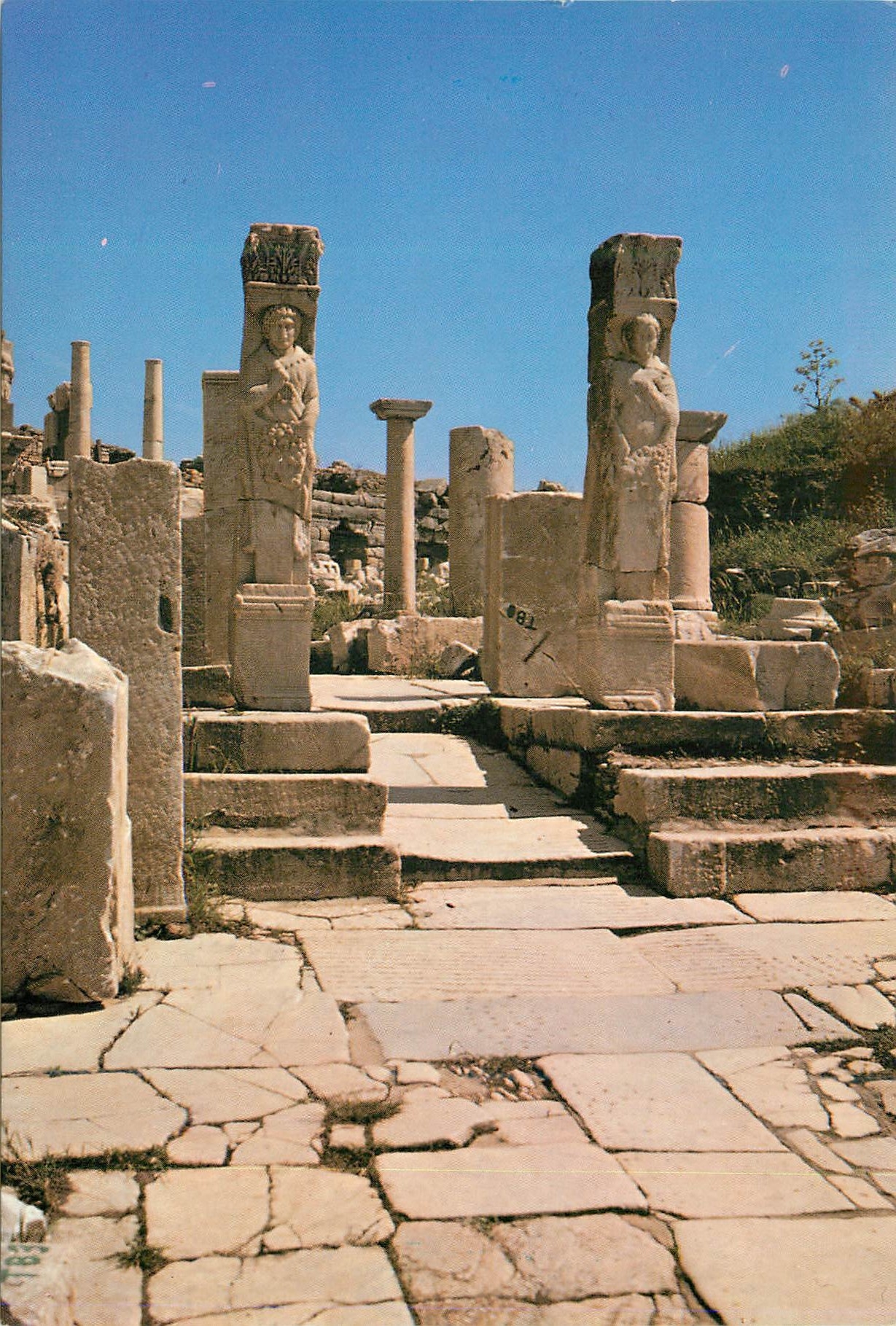 CPM Turkey Ephesus La voie curcis