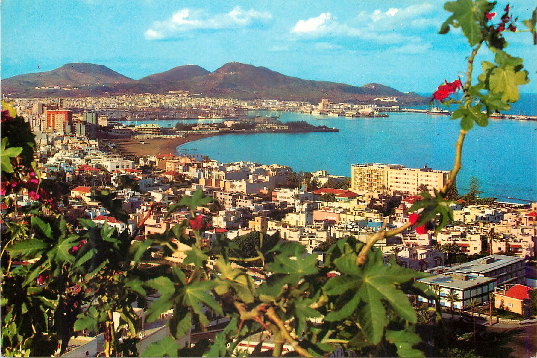 CPM Les palmas de gran canaria vue general du port de la Luz