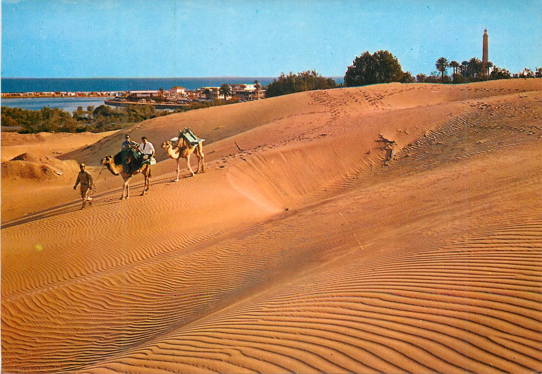 CPM Maspalomas au fond le lac la plage et phare Chameaux