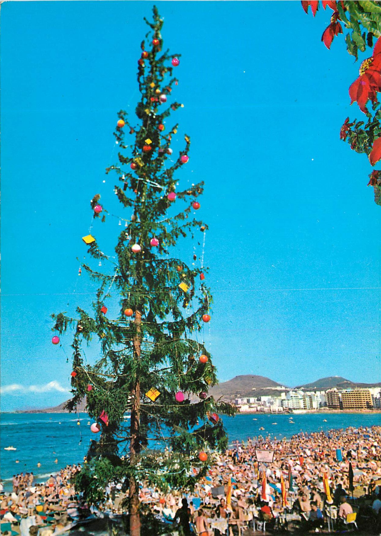 CPM Islas de gran canaria arbol navideno en la playa de las canteras