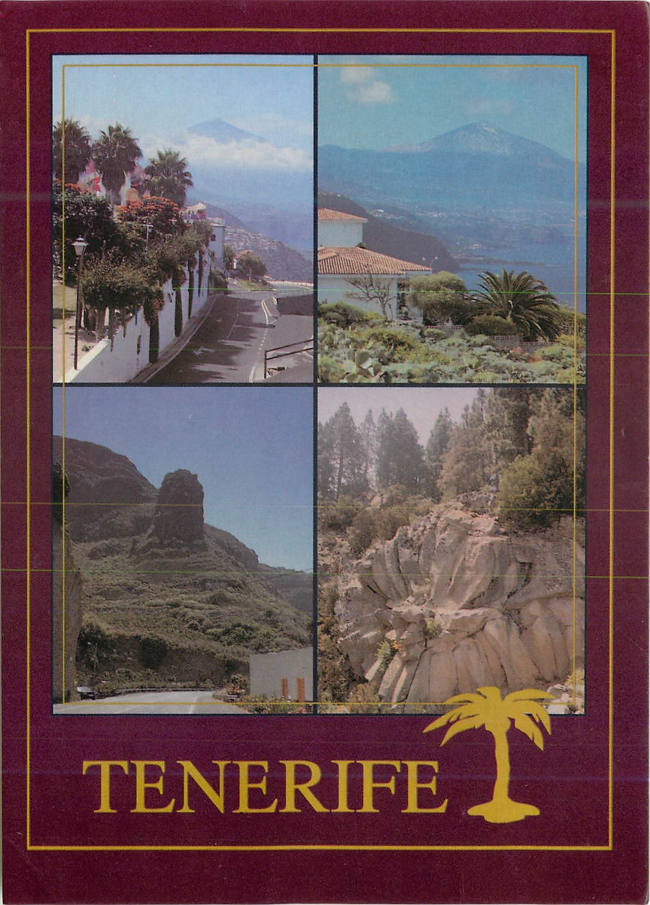 CPM Tenerife el sauzal rosa de piedra costa norta
