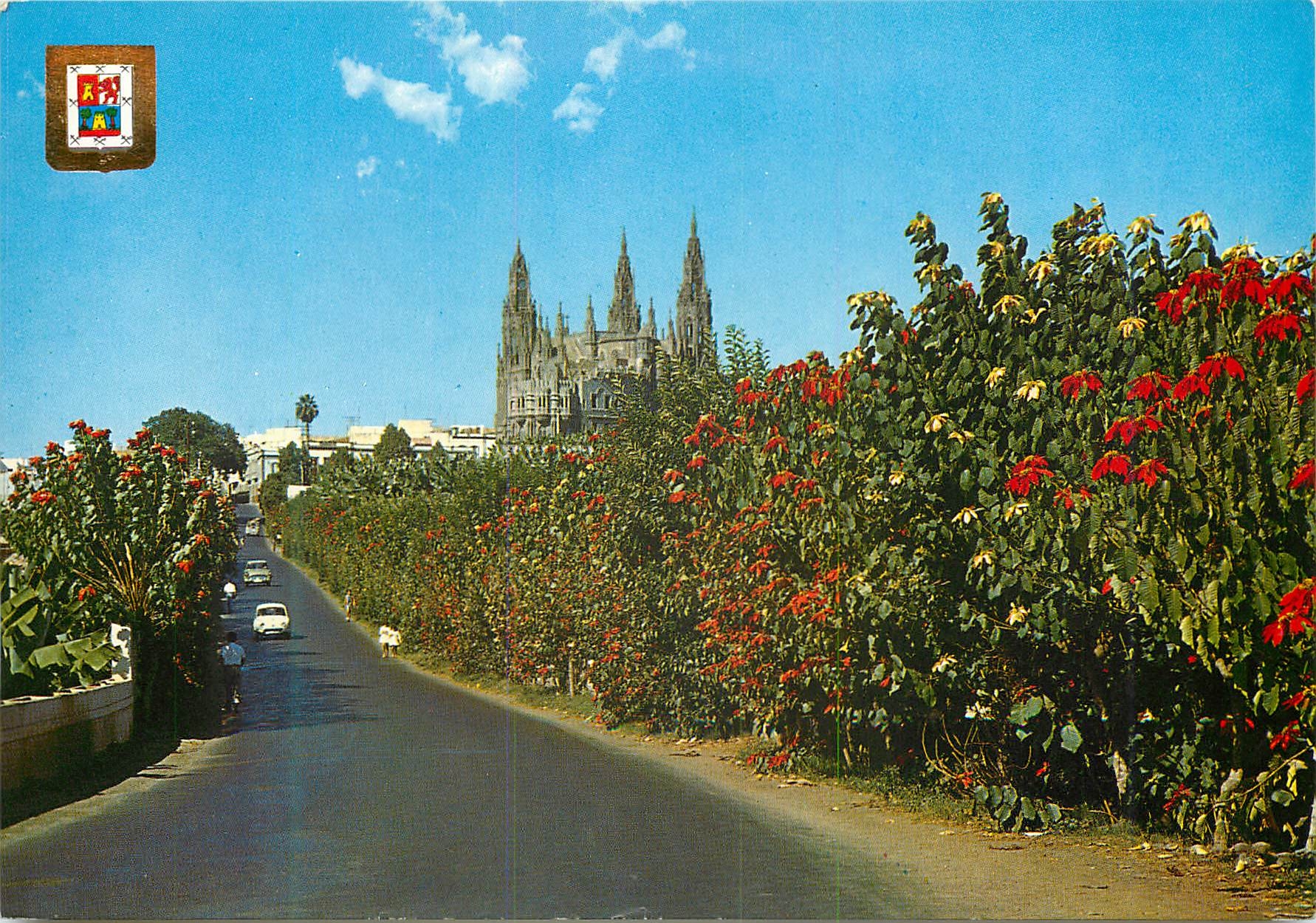 CPM Arucas (gran canaria) entree et cathedrale