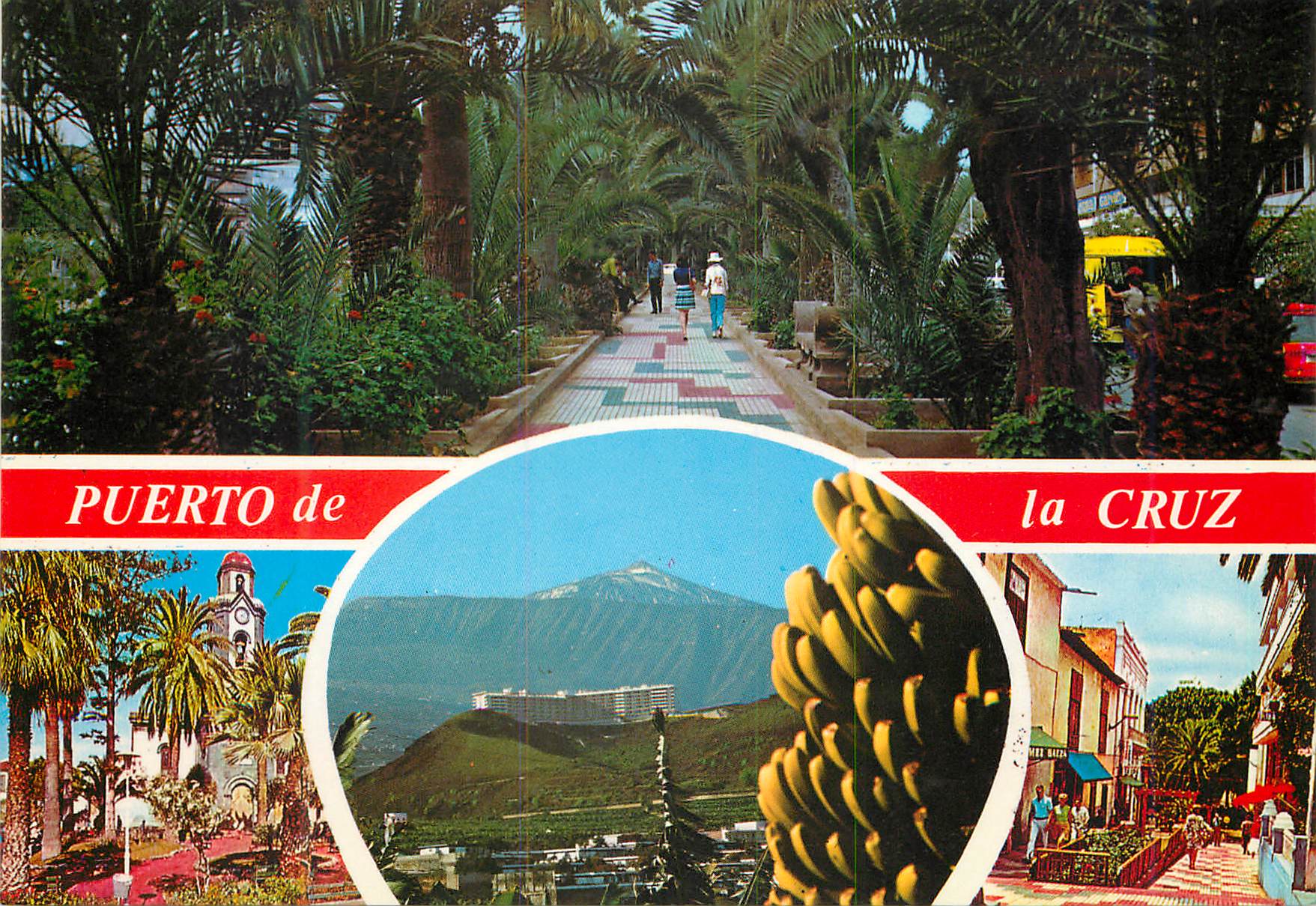 CPM Puerto de la cruz (Tenerife)