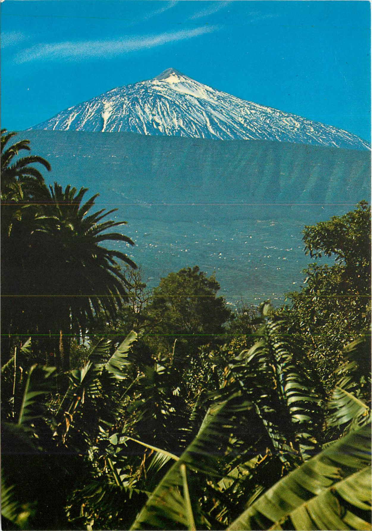 CPM Teide (m3717) banana plantations with th snow covered teide in the backhround