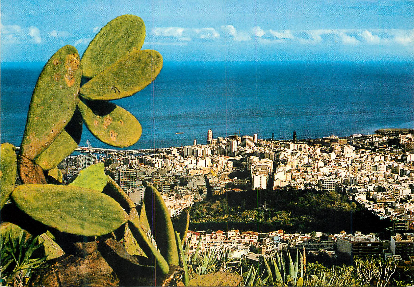 CPM Santa cruz de tenerife panorama
