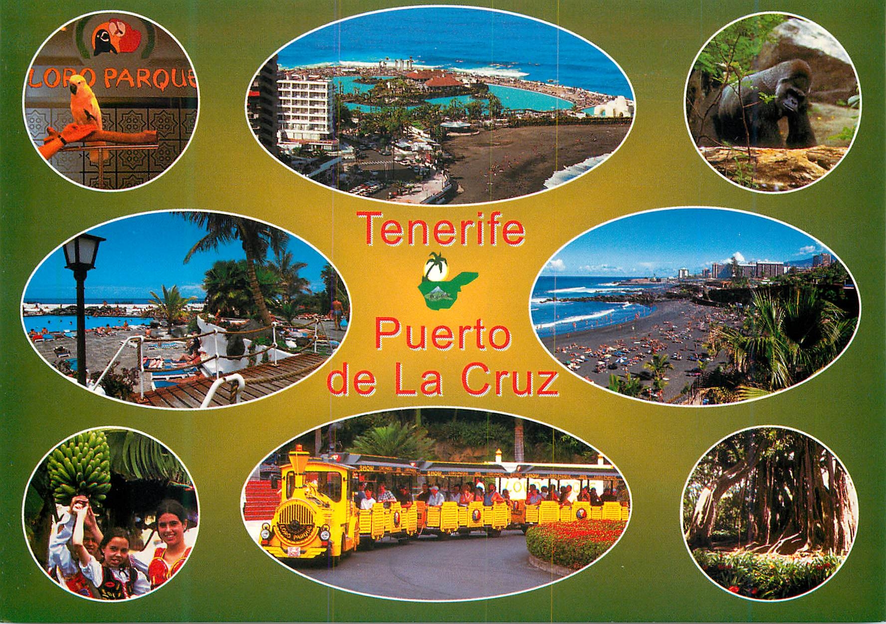 CPM Tenerife Puerto de la Cruz Perroquet