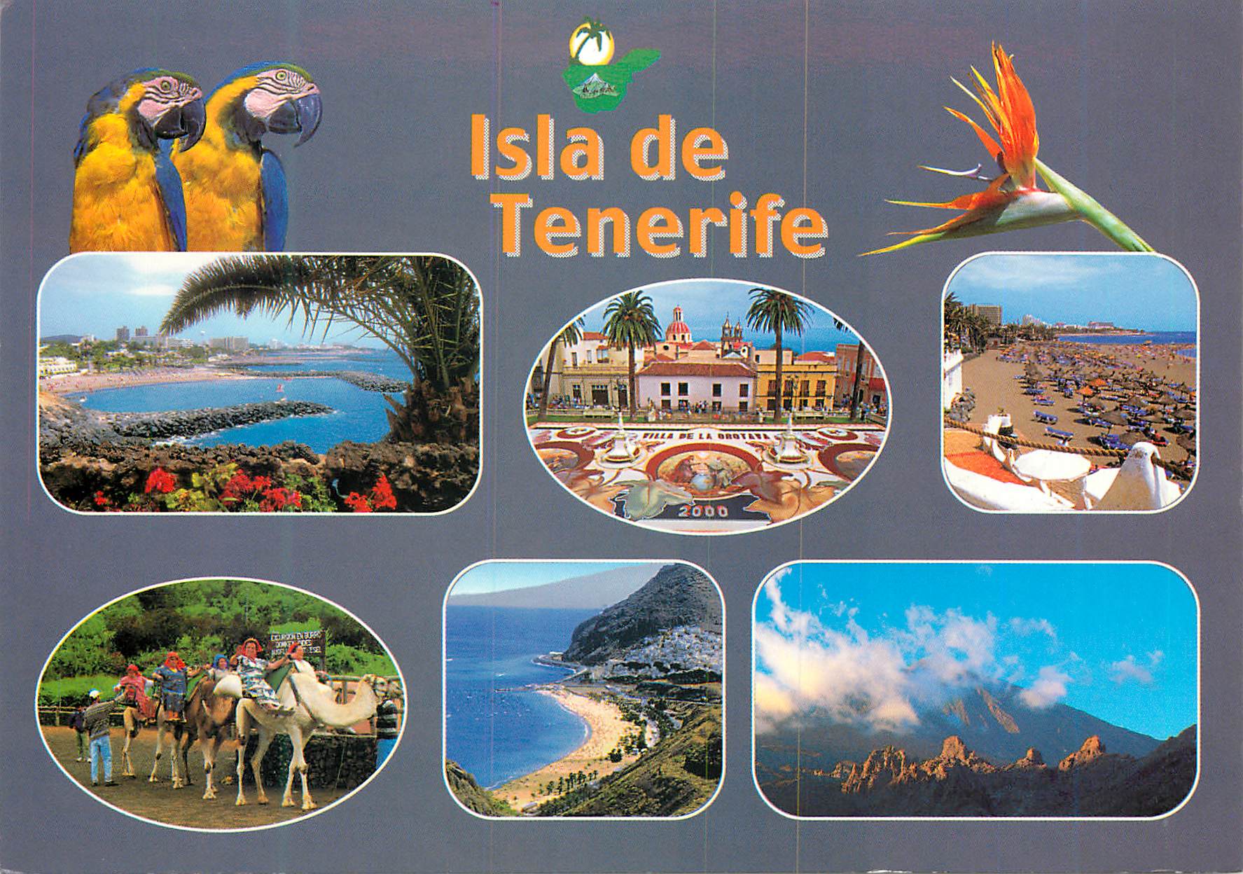 CPM Tenerife Isla de Tenerife Perroquet