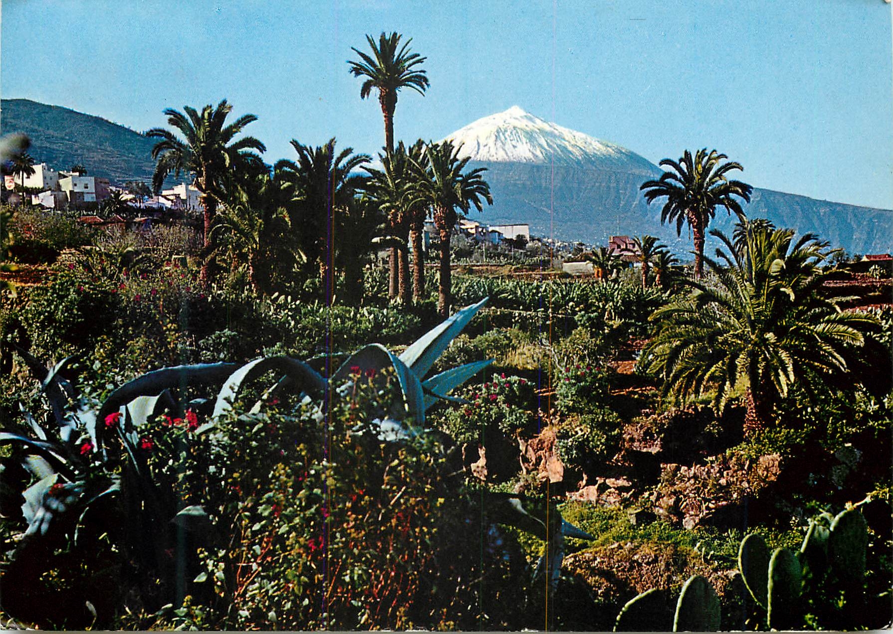CPM Tenerife Panoramique Vue et Teide au Fond