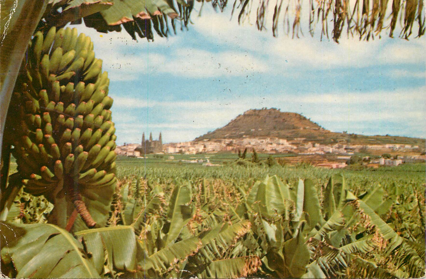 CPM Gran Canaria Arucas (vue partielle)