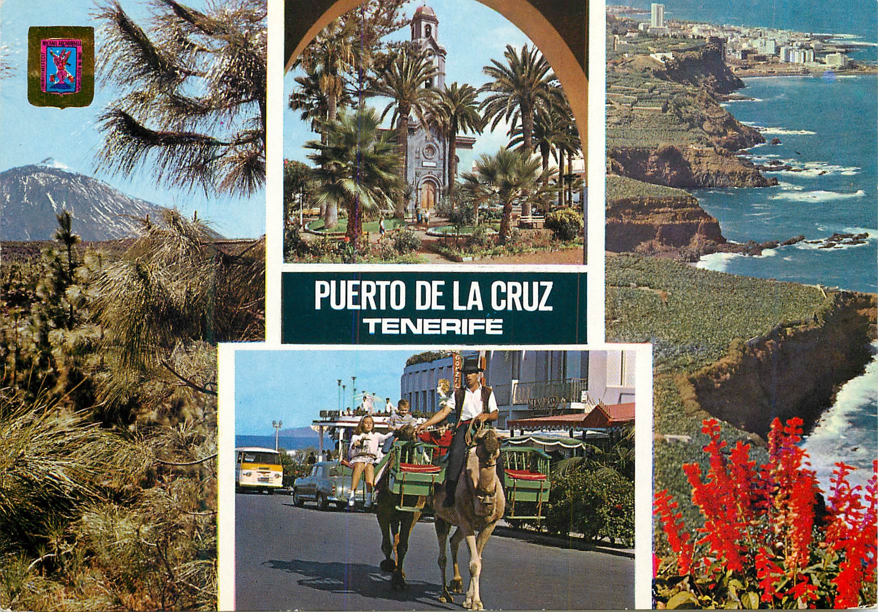 CPM Tenerife Puerto de la Cruz