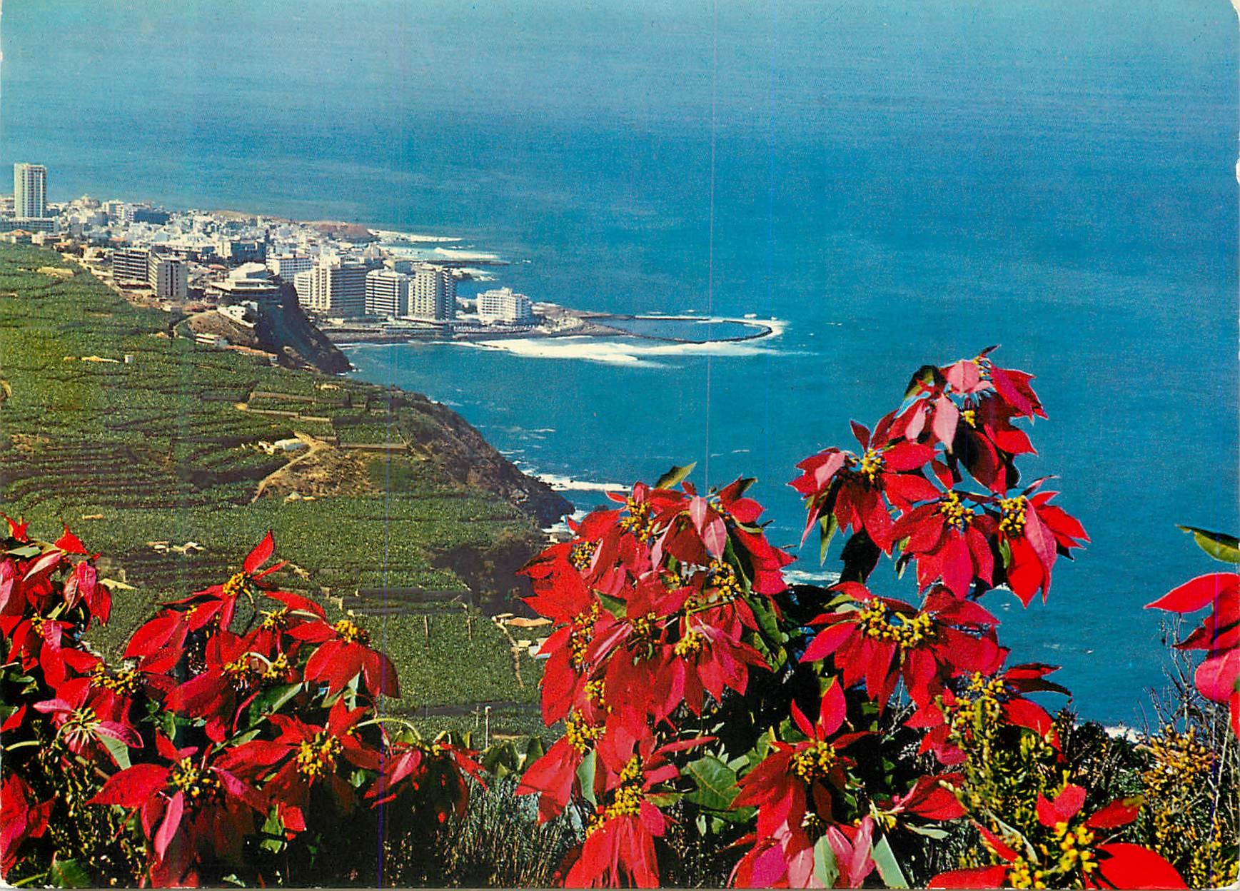 CPM Tenerife Cote du Nord et Puerto de la Cruz