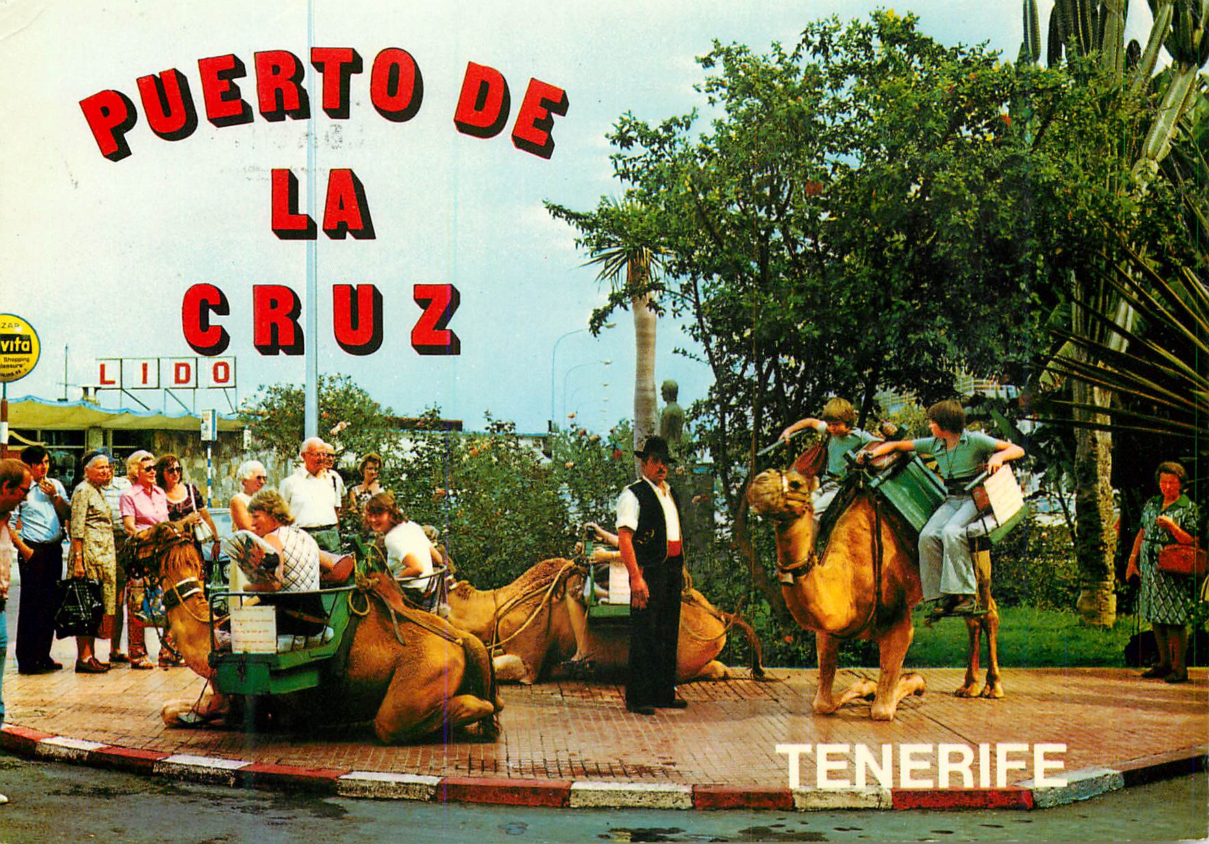 CPM Tenerife Puerto de la Cruz Chameau