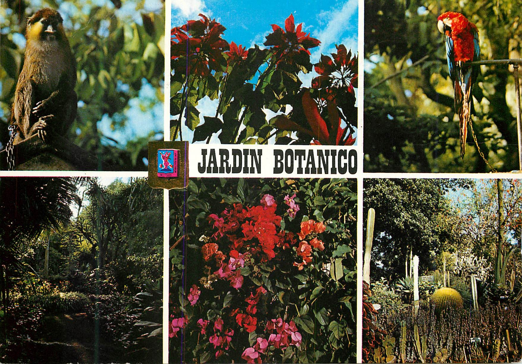 CPM Tenerife La Orotava Jardin Botanique Singe Perroquet