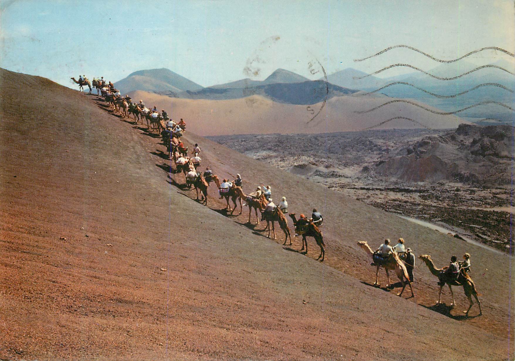 CPM Lanzarote Montana del Fuego (Caravana) Chameaux