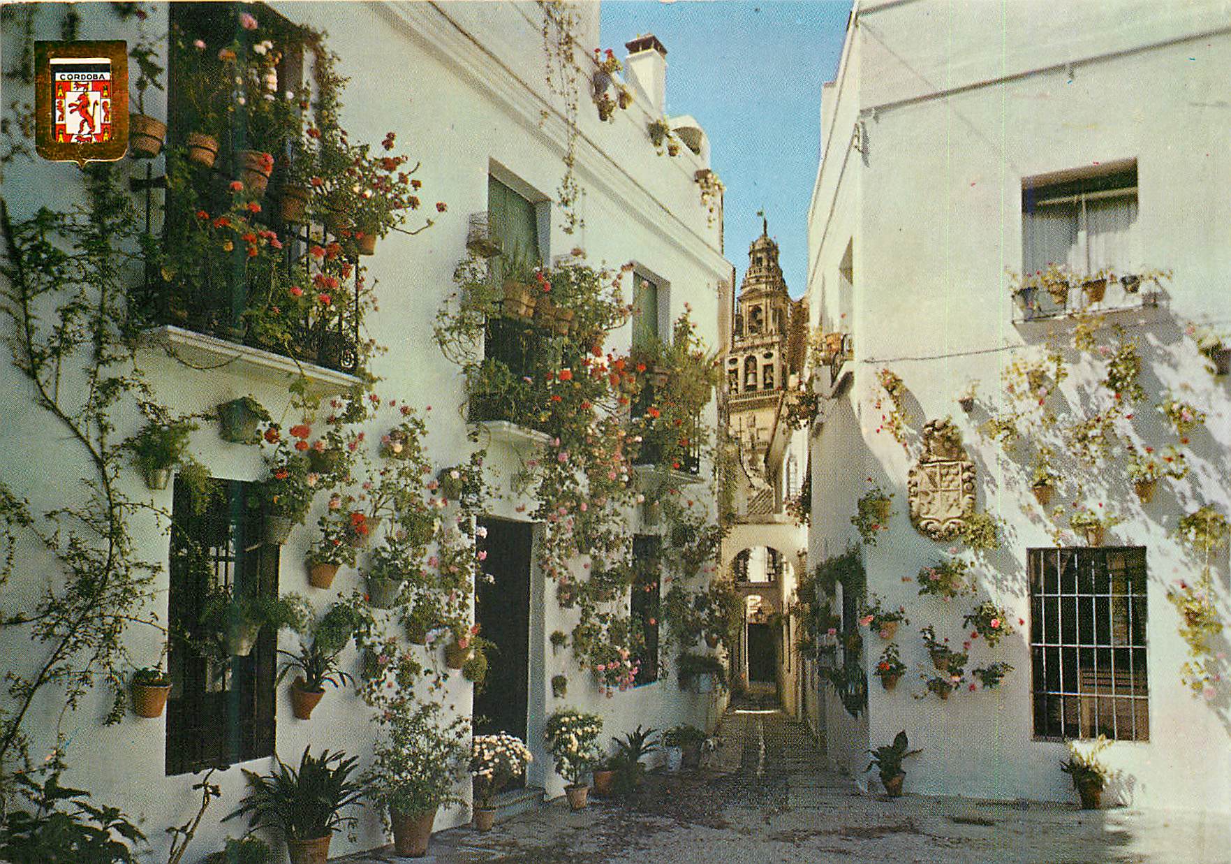CPM Cordoba Runile et Place des fleurs
