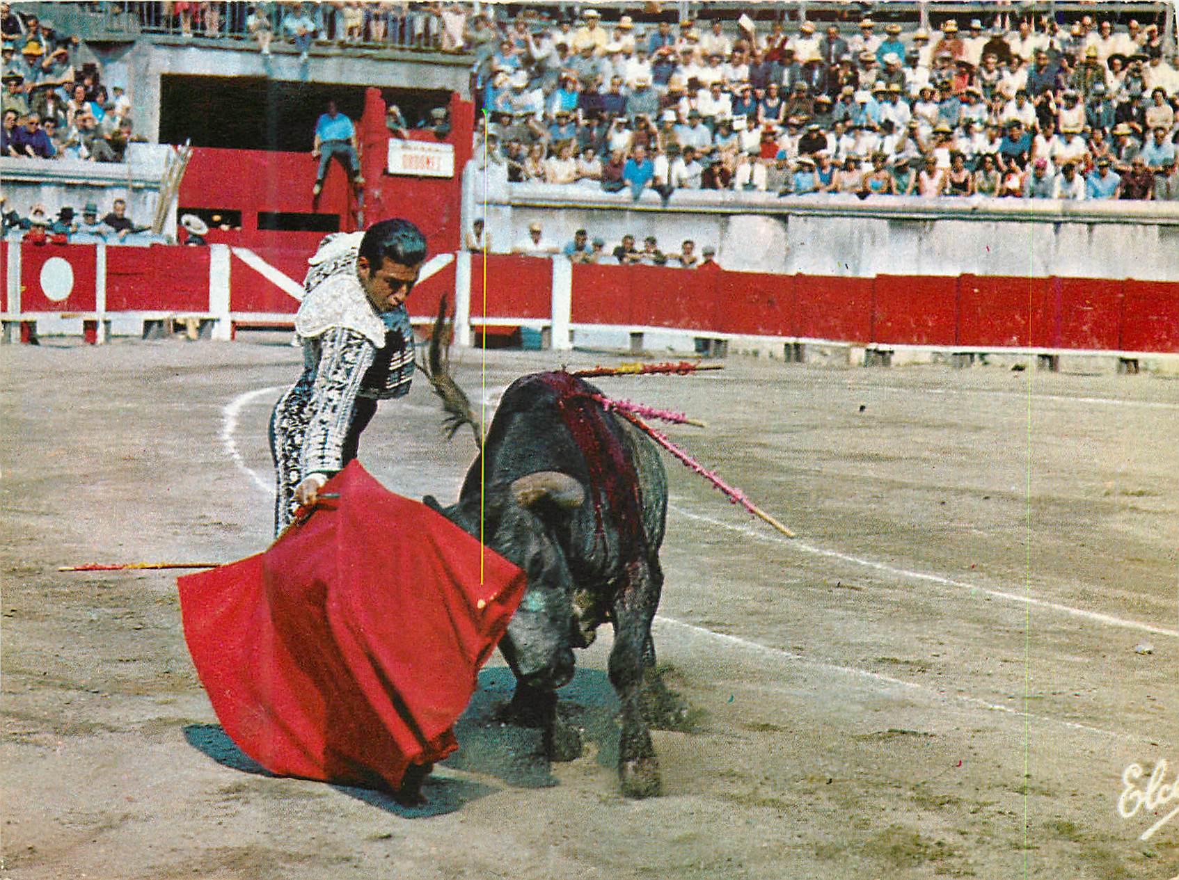 CPM La course de taureaux Passe de Muleta Corrida Taureau