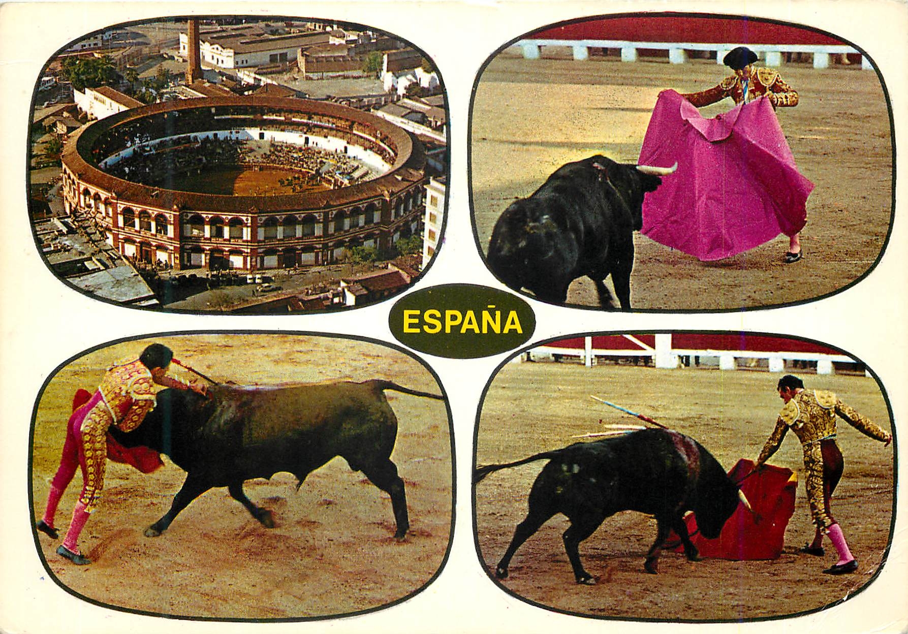 CPM Toros Typique course de Taureaux Taureau Corrida